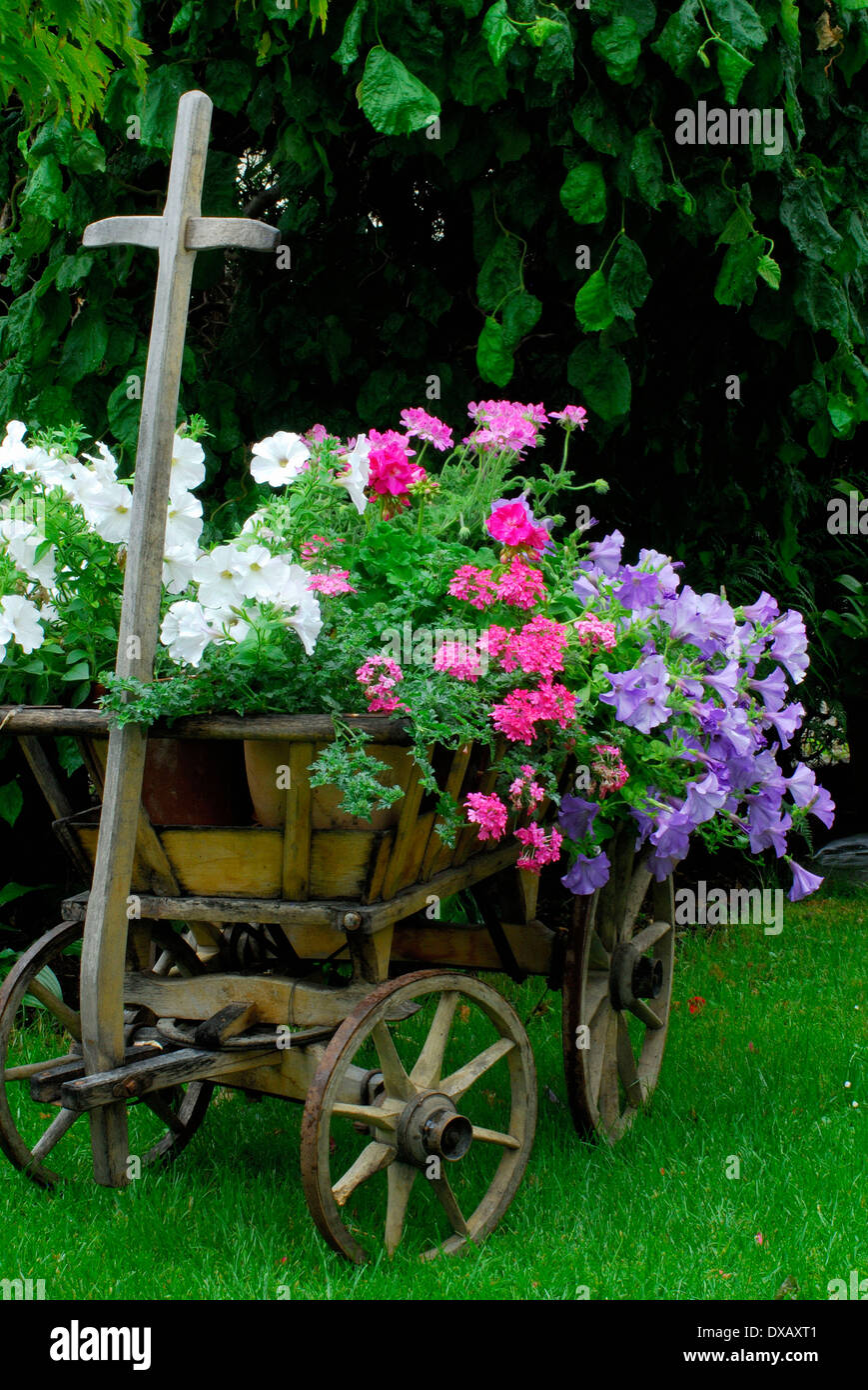 Vecchio carretto con fiori immagini e fotografie stock ad alta risoluzione  - Alamy