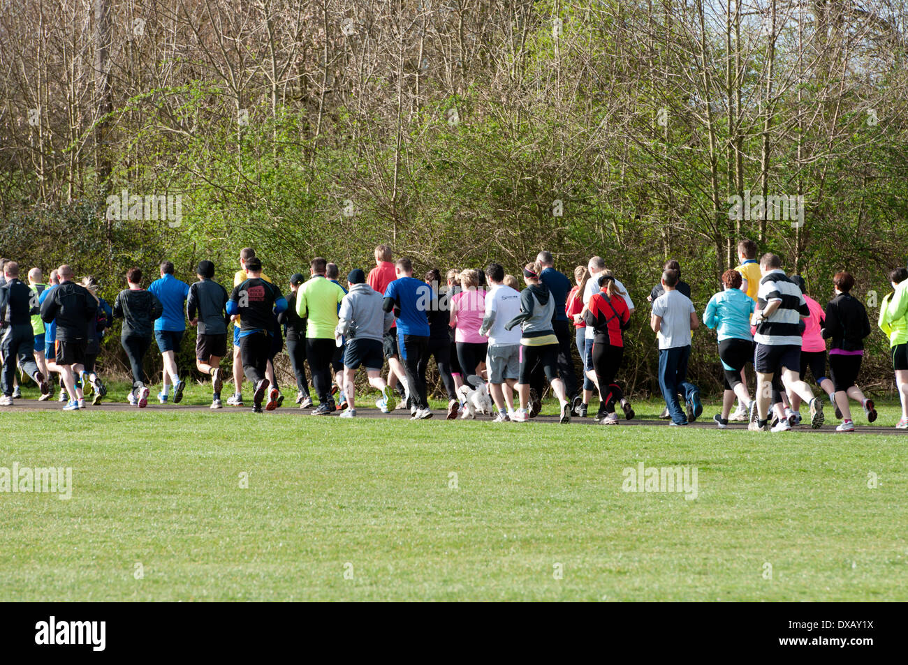 Louisville, Inghilterra, Regno Unito. Il 22 marzo 2014. Guide di scorrimento in freccia Valley parkrun, una libera 5k crono race. Il Settimanale Popolare parkrun eventi attraggono migliaia di guide di scorrimento, sia in Gran Bretagna che all'estero. Foto Stock