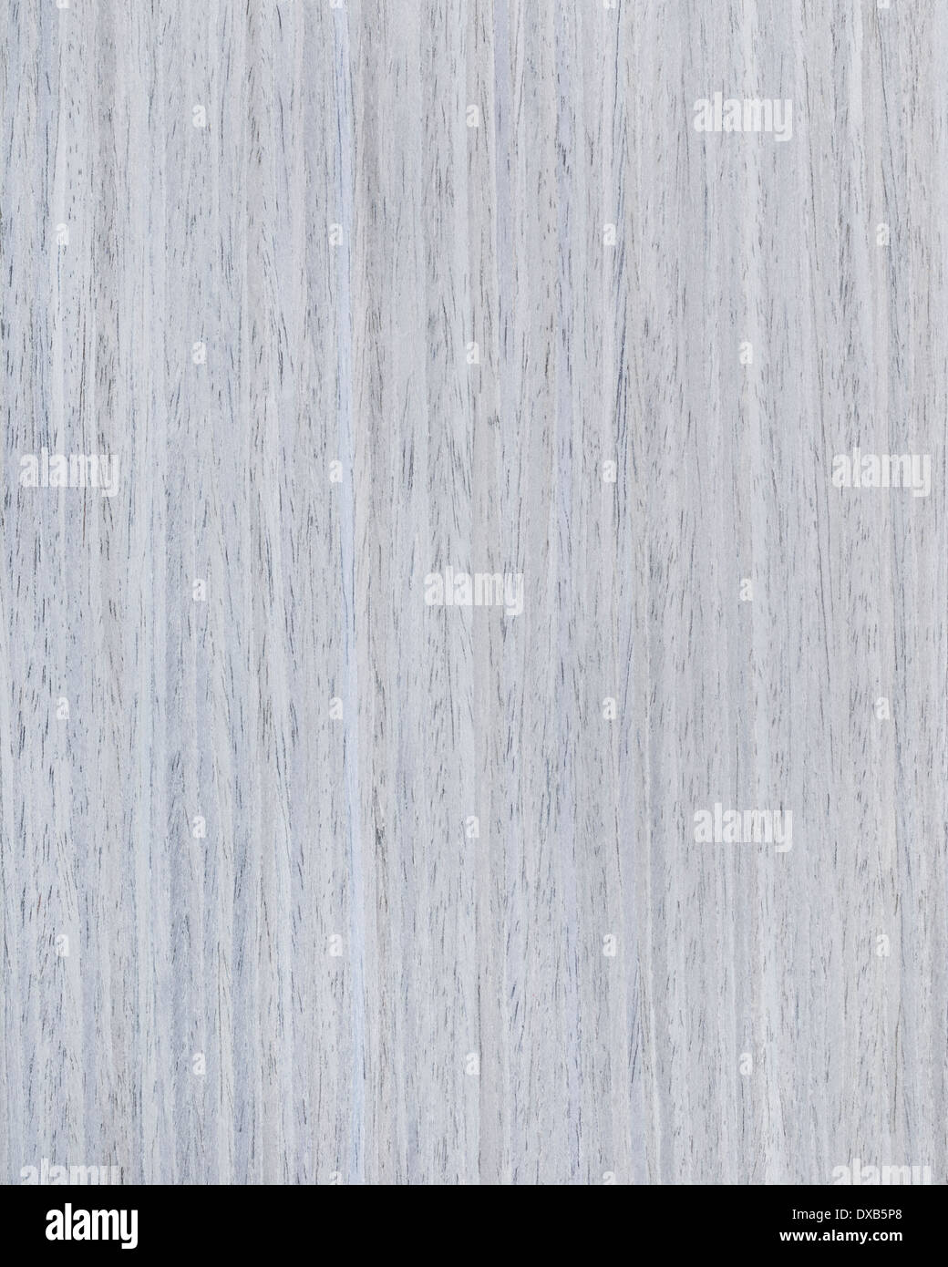 Rovere grigio texture di legno, legno sfondo della granella Foto stock -  Alamy