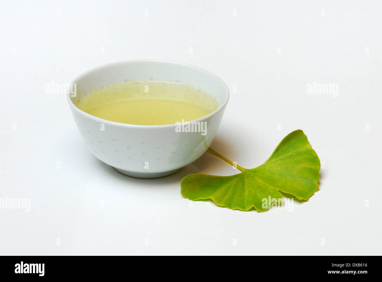 Tè del ginkgo Foto Stock