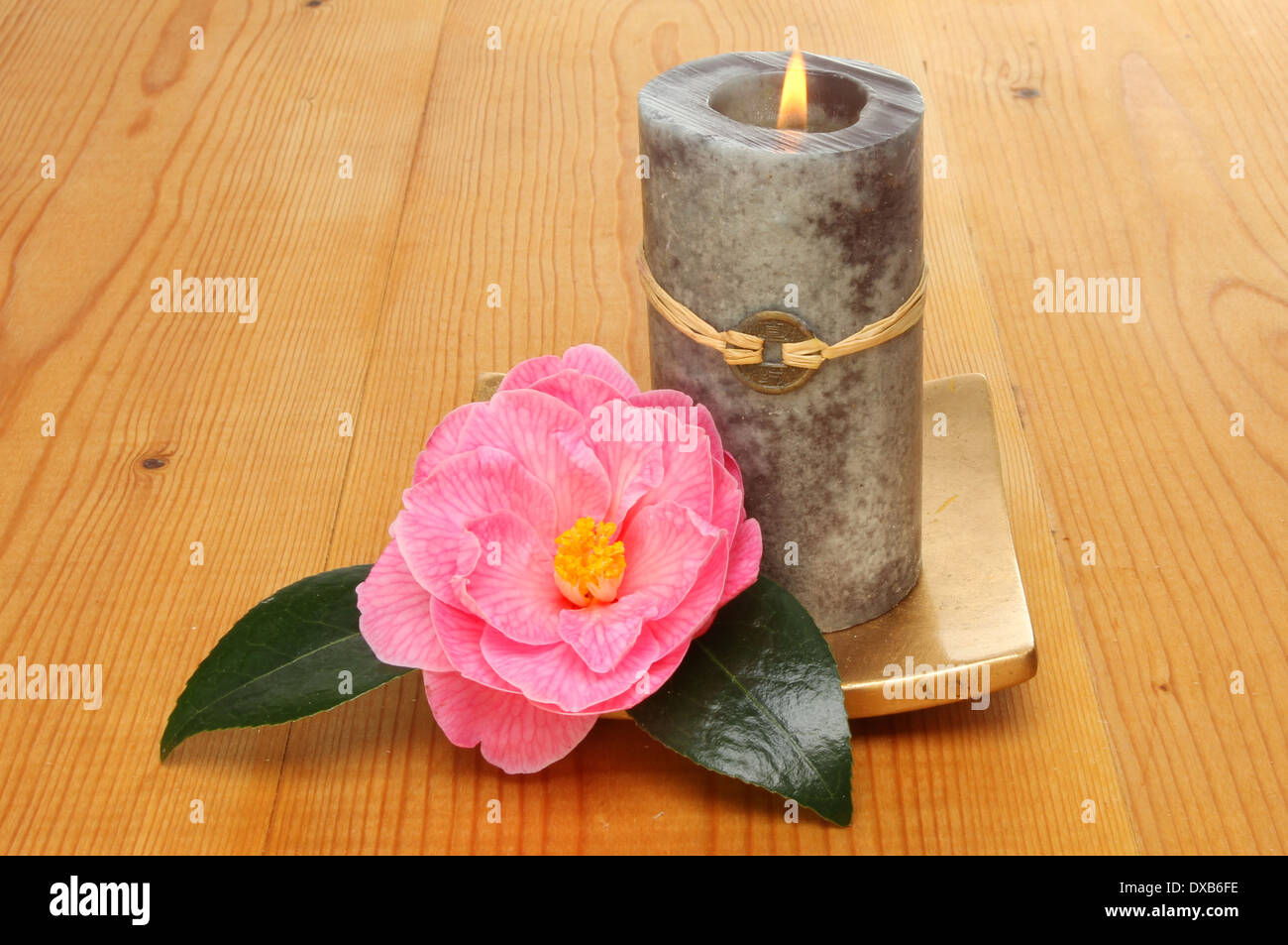 Il Feng Shui candela e camellia flower su uno sfondo di pineta Foto Stock