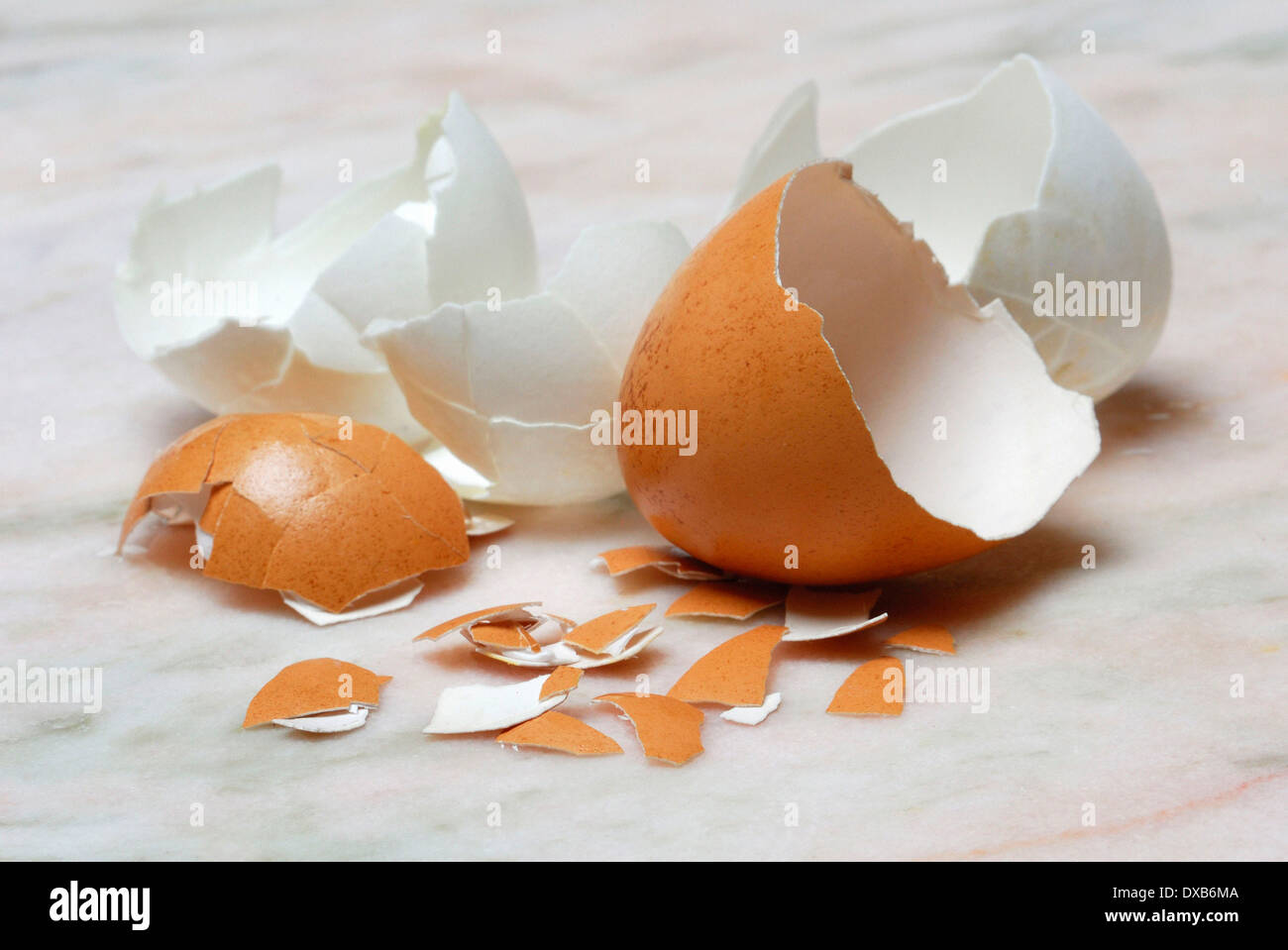 Gusci d'uovo Foto Stock