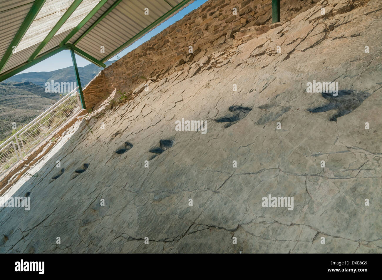 Tracce di impronte di dinosauro (o ichniti) in una roccia piatta, precedentemente il fondo di una laguna interna al sito fossile Cornago, la Rioja, Spagna. Foto Stock
