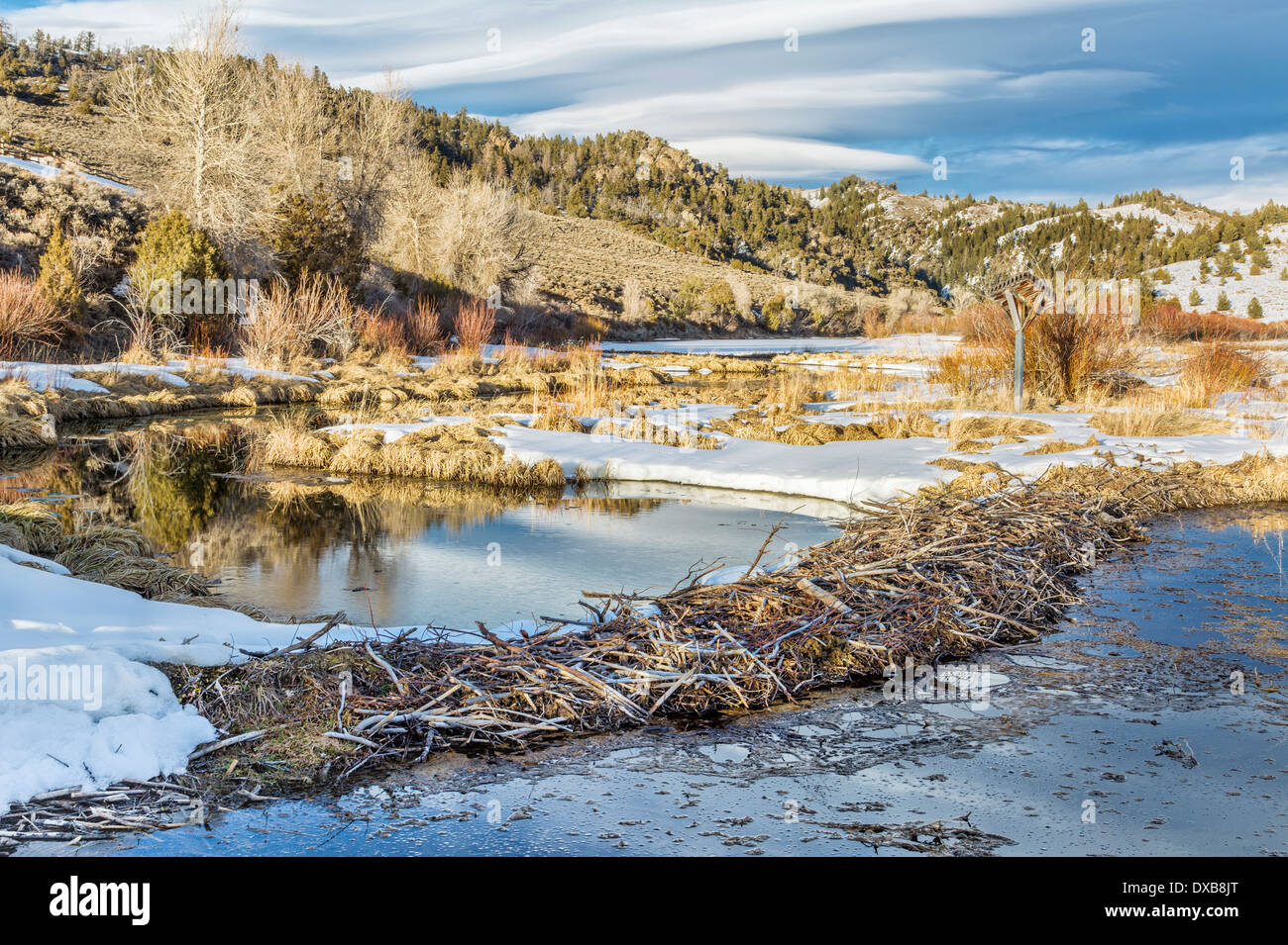 Inverno sul beaver palude nel nord del parco, Colorado all'entrata al Gateway Canyon vicino Cowdrey Foto Stock