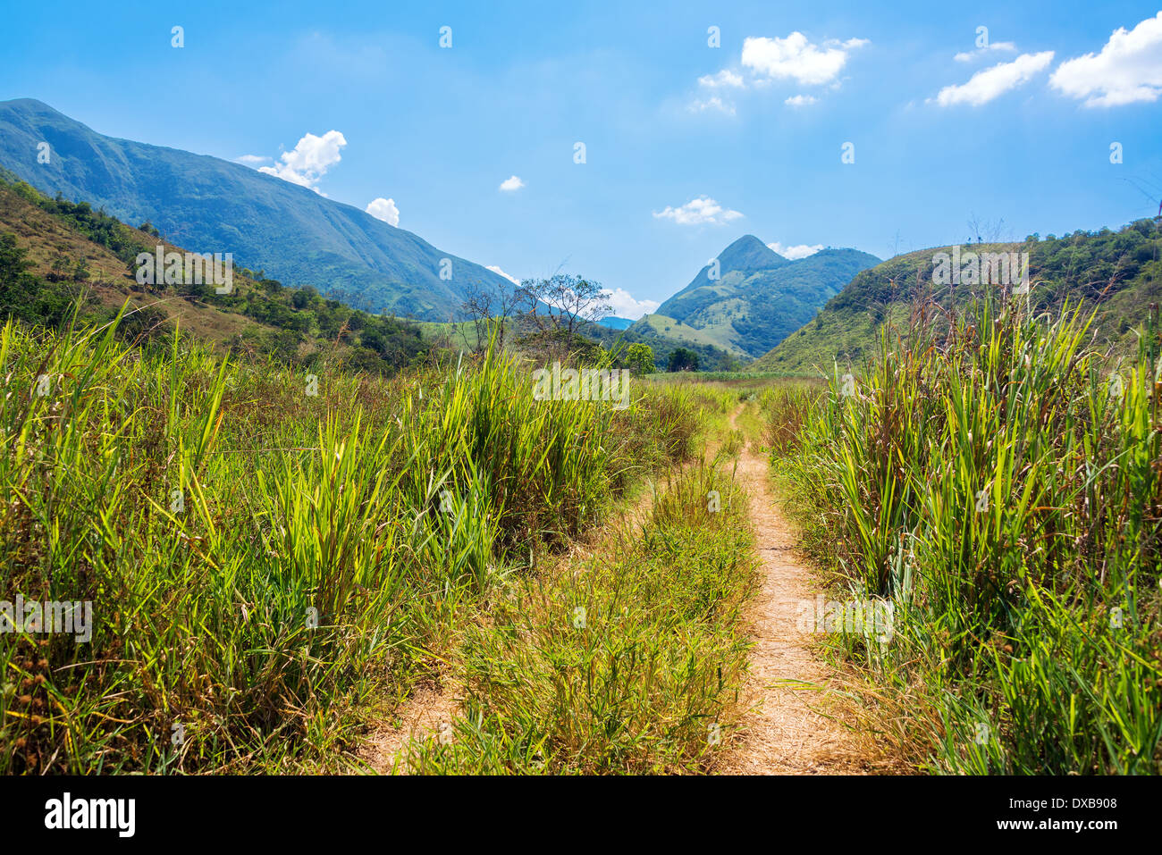 Lussureggiante valle verde con erba alta e splendidi e verdi colline a Santander, Colombia Foto Stock