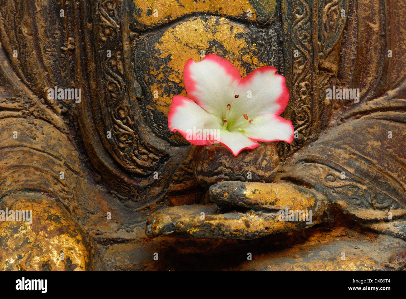 Scultura di Buddha Foto Stock