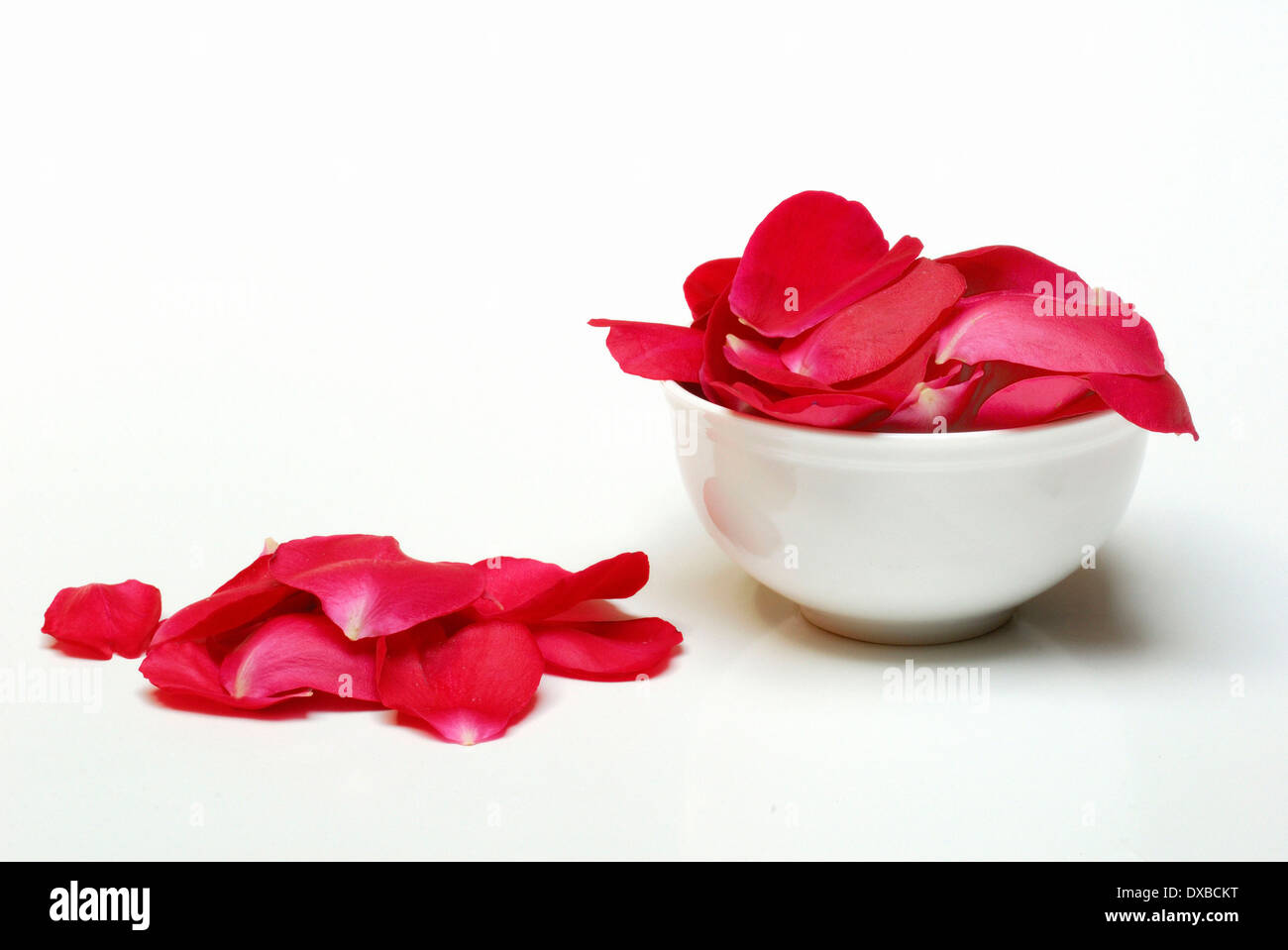 petali di rosa Foto Stock