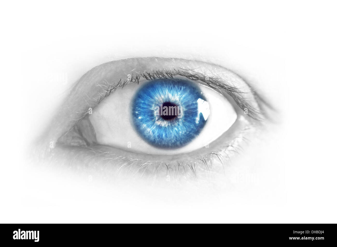 Close up bellissima femmina blue eye senza make up. Foto Stock