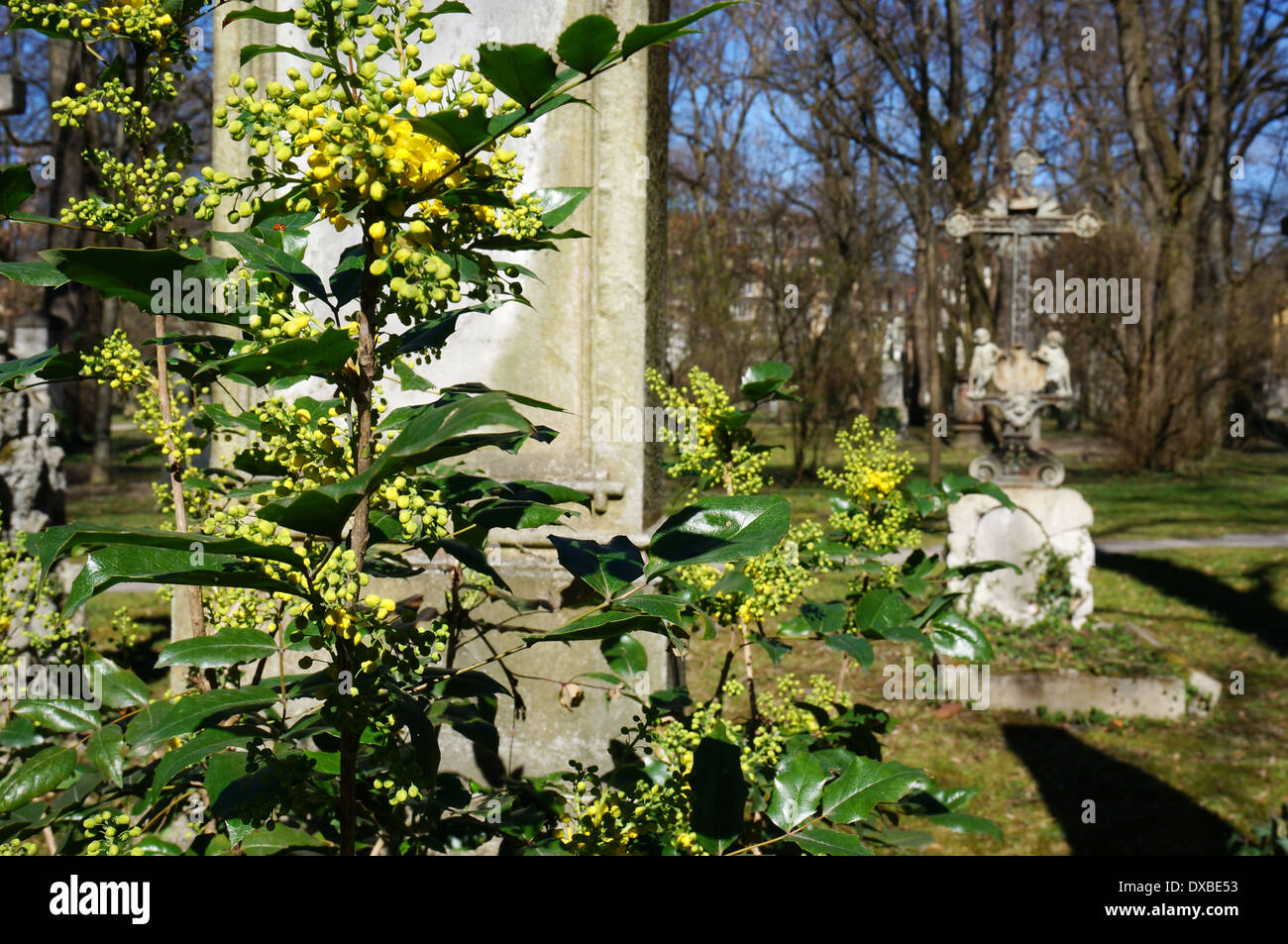 Tomba a nord del cimitero, Monaco di Baviera, Germania, Europa Foto Stock