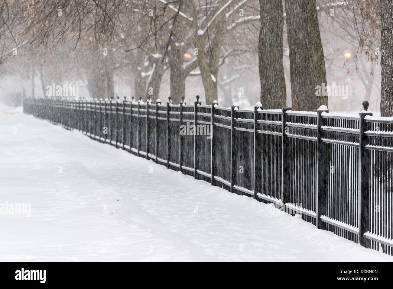 Tempesta di neve in un parco in Chicago Foto Stock
