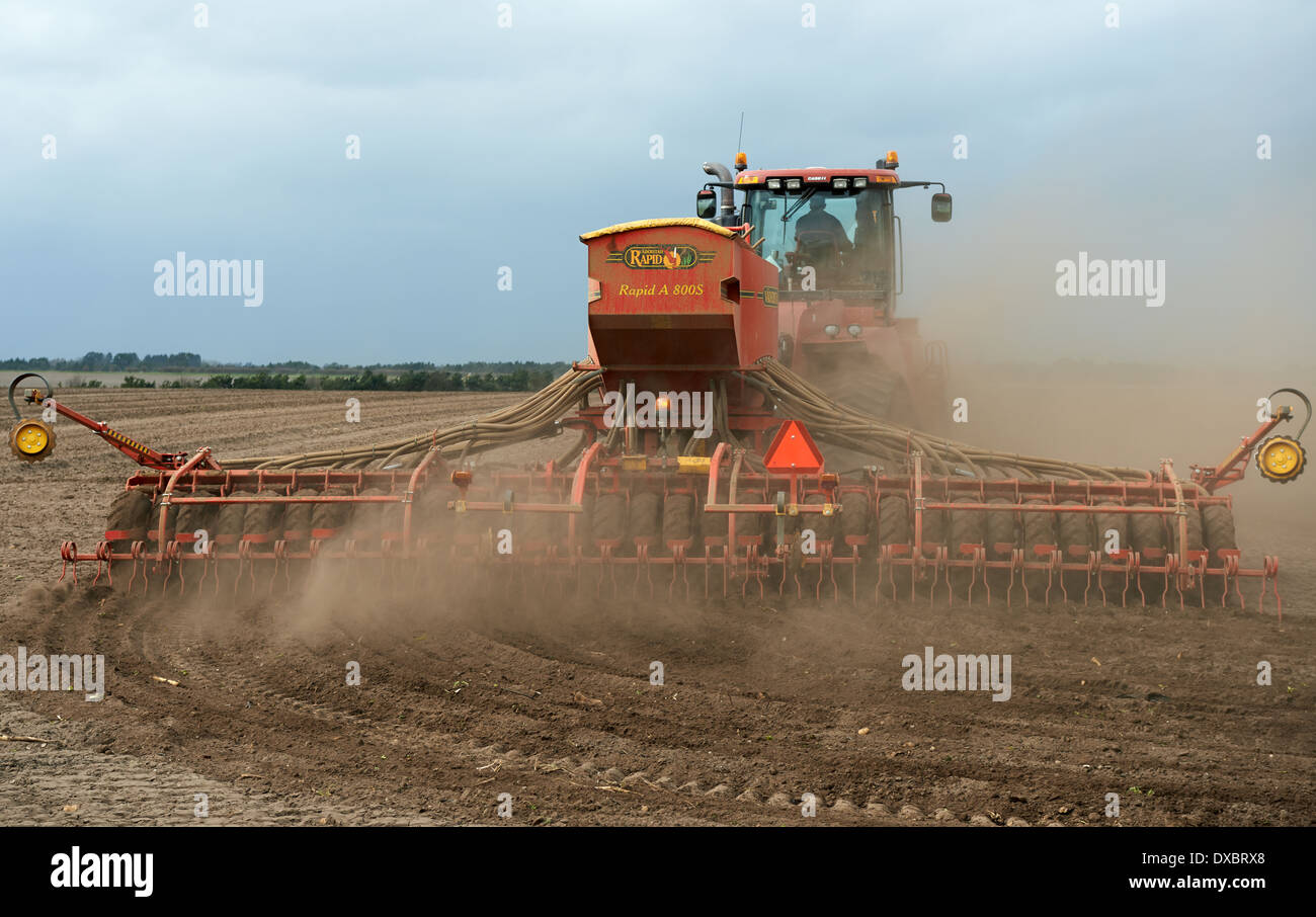 Coltivatore Vaderstad da un rapido A 800s trapano orzo di cucitura Foto Stock