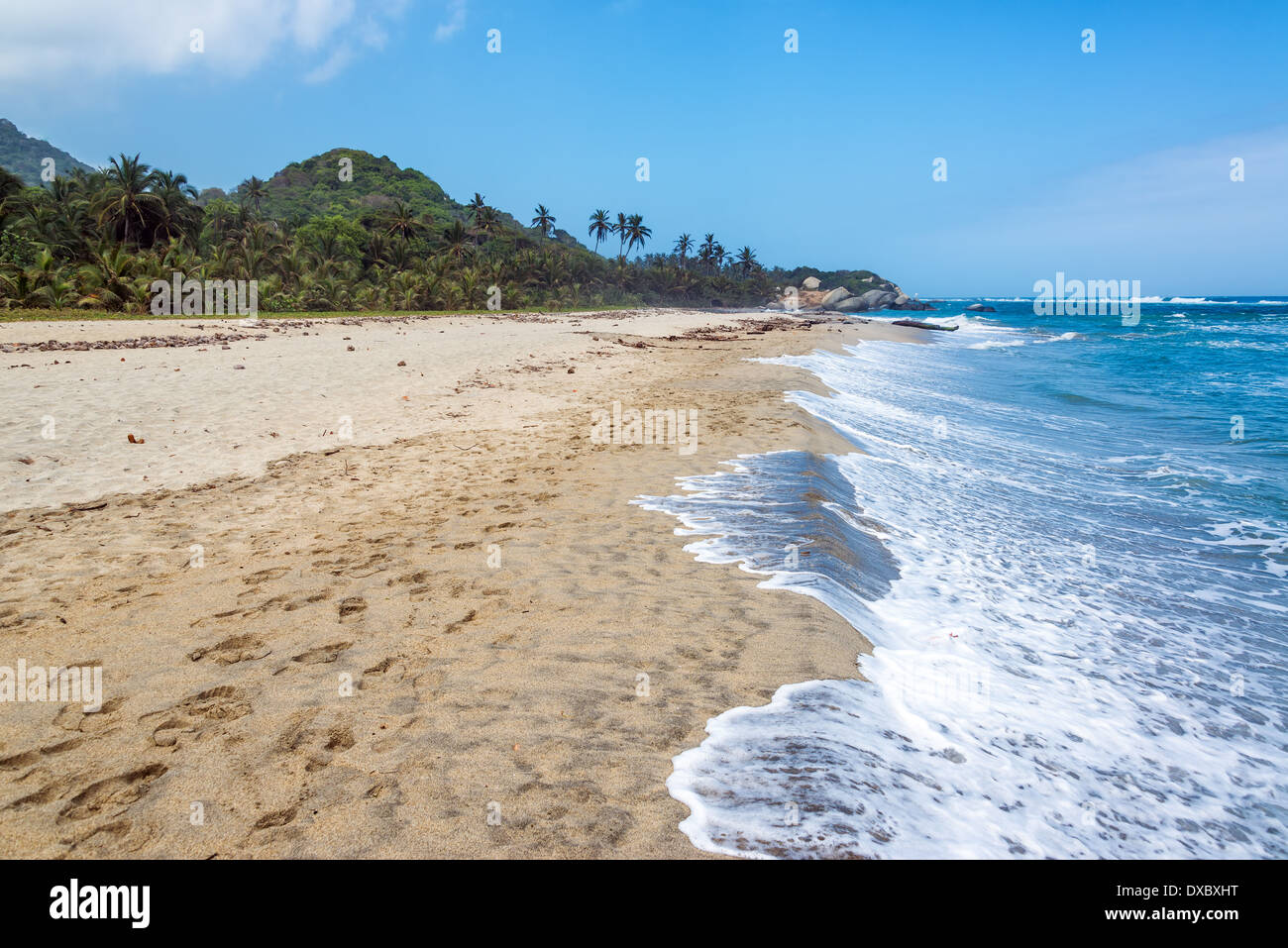 Spiaggia nel Parco Nazionale Tayrona in Colombia con fitta vegetazione in background Foto Stock