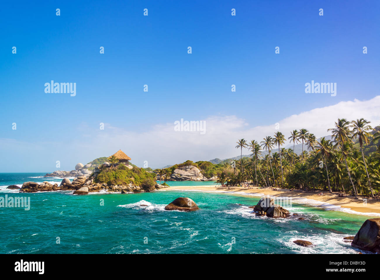 Palme e il blu dei Caraibi acqua sulla spiaggia di San Juan del Guia nel Parco Nazionale Tayrona in Colombia Foto Stock