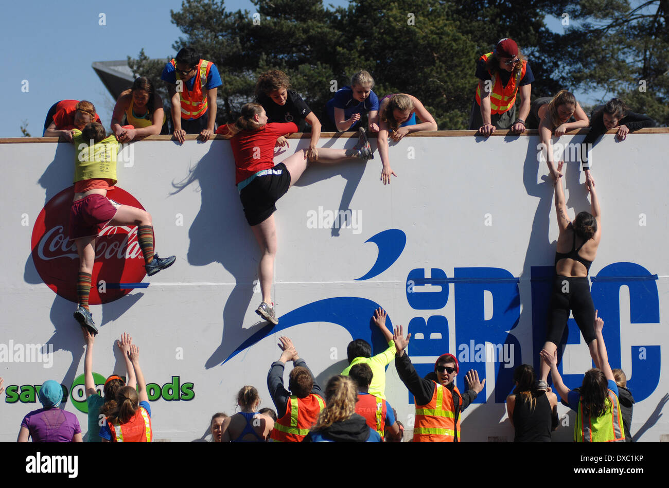 Vancouver, Canada. 23 Mar, 2014. Gli studenti partecipano a l annuale 2014 tempesta la parete della concorrenza internazionale presso la University of British Columbia (UBC) in Vancouver, Canada, 23 marzo 2014. Tempesta la parete è il più grande e più lunga sfida la concorrenza nella storia DELLA UBC, costituito da nuoto agonistico, Sprint Bike, acceso e storming il muro. © Sergei Bachlakov/Xinhua/Alamy Live News Foto Stock