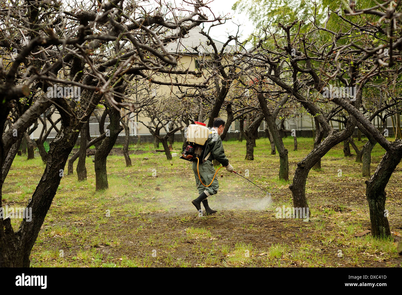 Lavoratore In Komae, Tokyo, Giappone Foto Stock