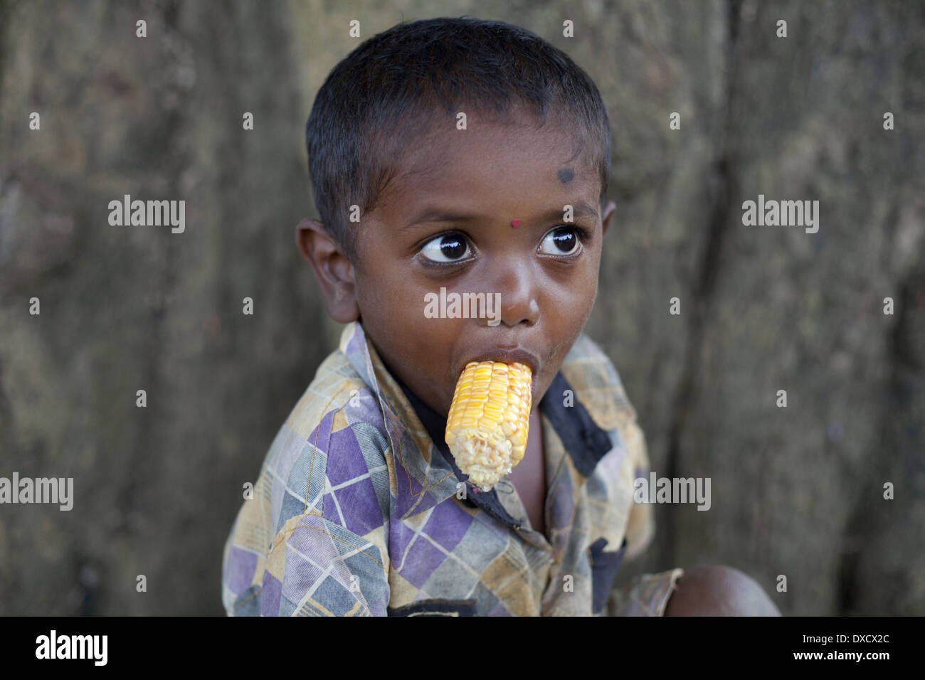 Ragazzo divertito mangiare mais secco. Munda tribù. Bartoli villaggio quartiere Khunti Ranchi, nello stato del Jharkhand, India Foto Stock