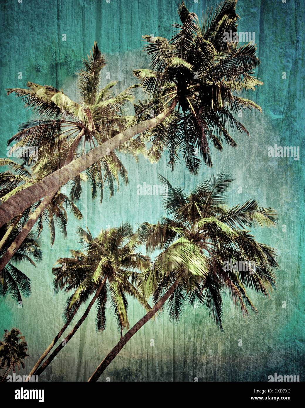 Coconut Palm tree isolate su cielo tropicale. Immagine in stile vintage. India Foto Stock
