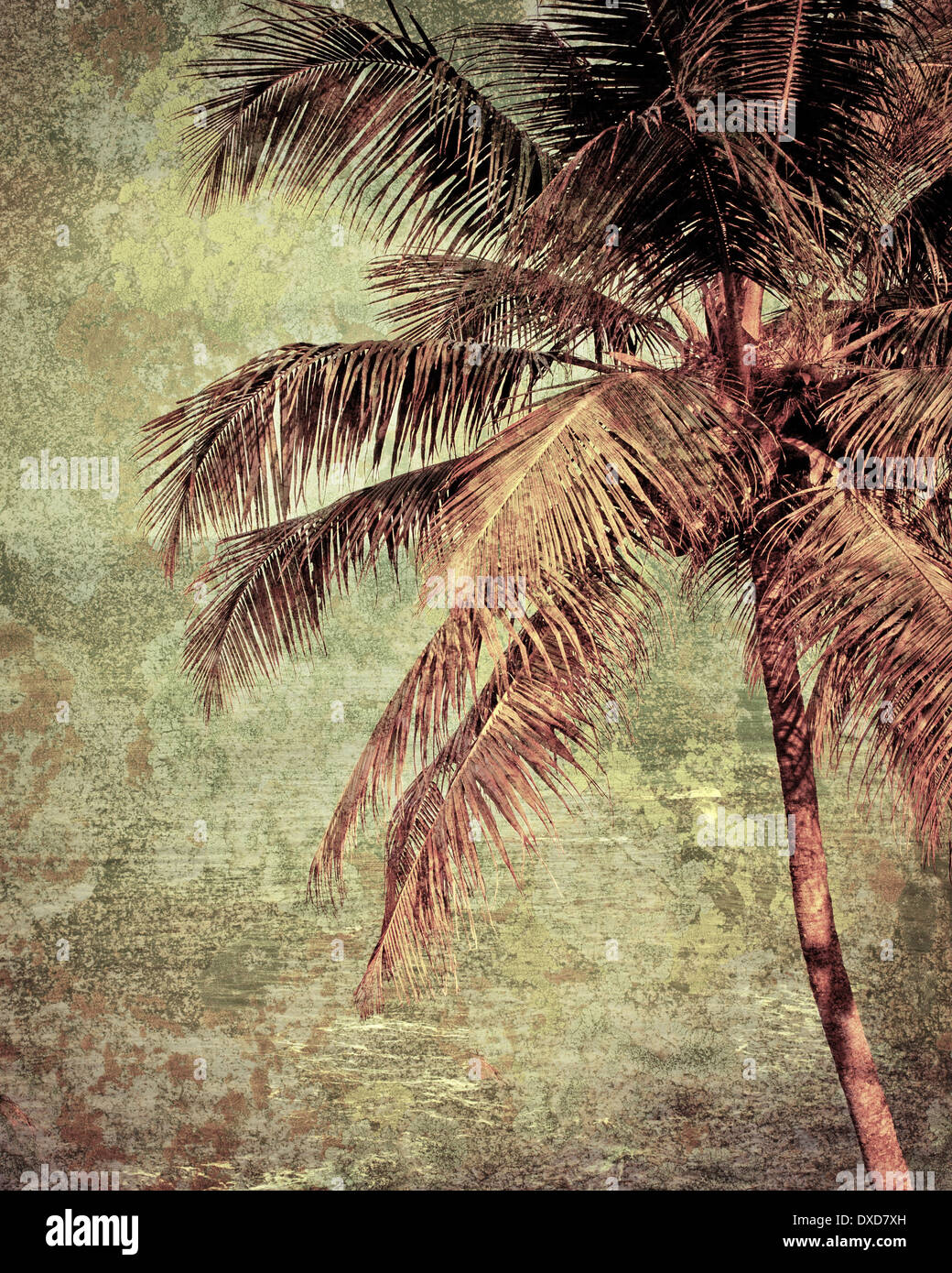 Bellissimo paesaggio tropicale con spiaggia dell'oceano e Palm tree sotto golden sunset sky. Immagine in stile vintage. India Foto Stock