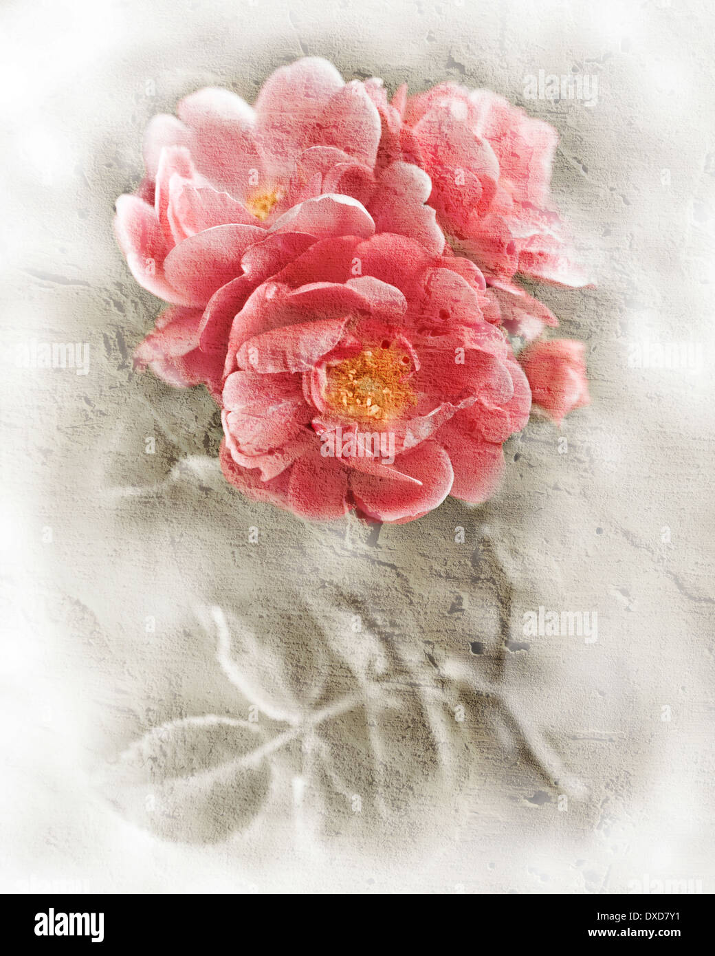 Abstract romantico rose rosa fiori sfondo floreale morbida messa a fuoco selettiva di pittura ad acquerello stile di elaborazione immitation Foto Stock