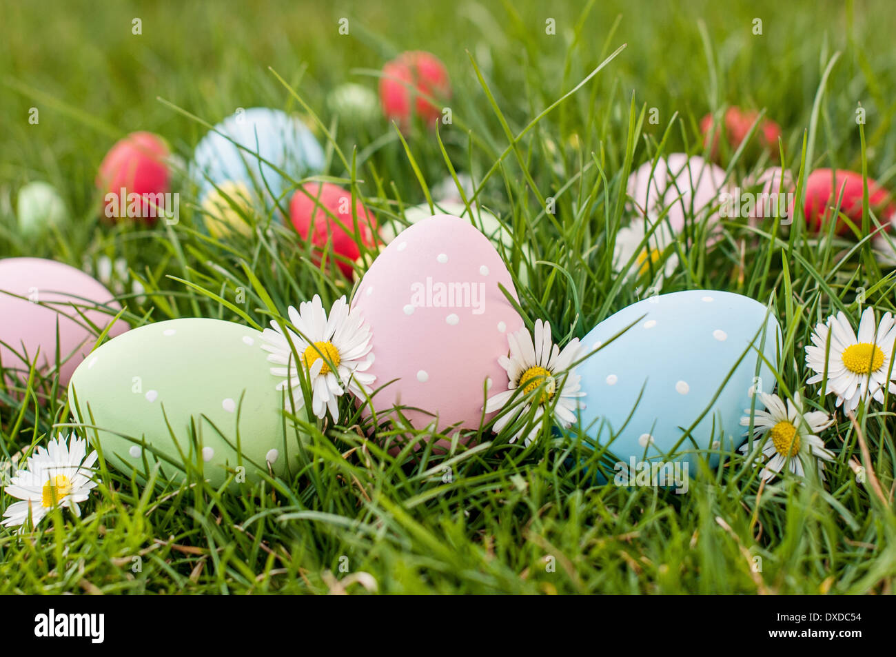 Colore diverso uovo di Pasqua su un'erba Foto Stock