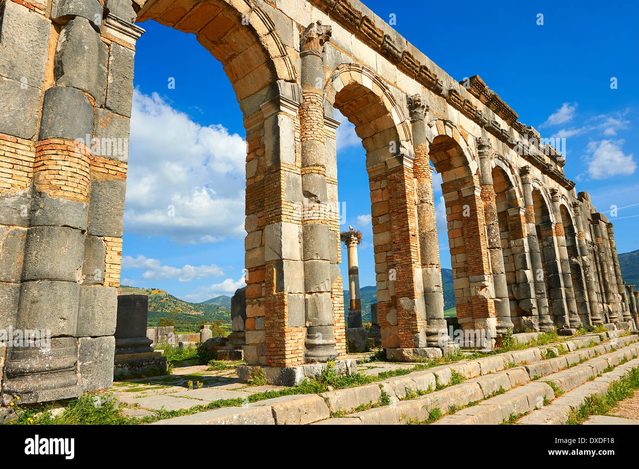 Esterno della Basilica a Volubilis Sito Archeologico, vicino a Meknes, Marocco Foto Stock