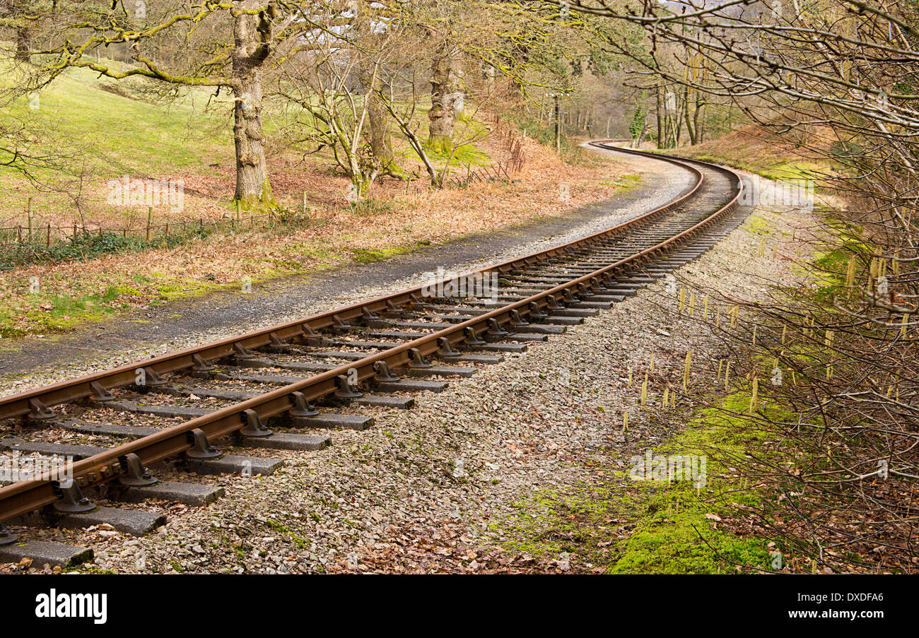 Heritage convoglio ferroviario vie formando una curva S attraverso un ambiente rurale. Foto Stock