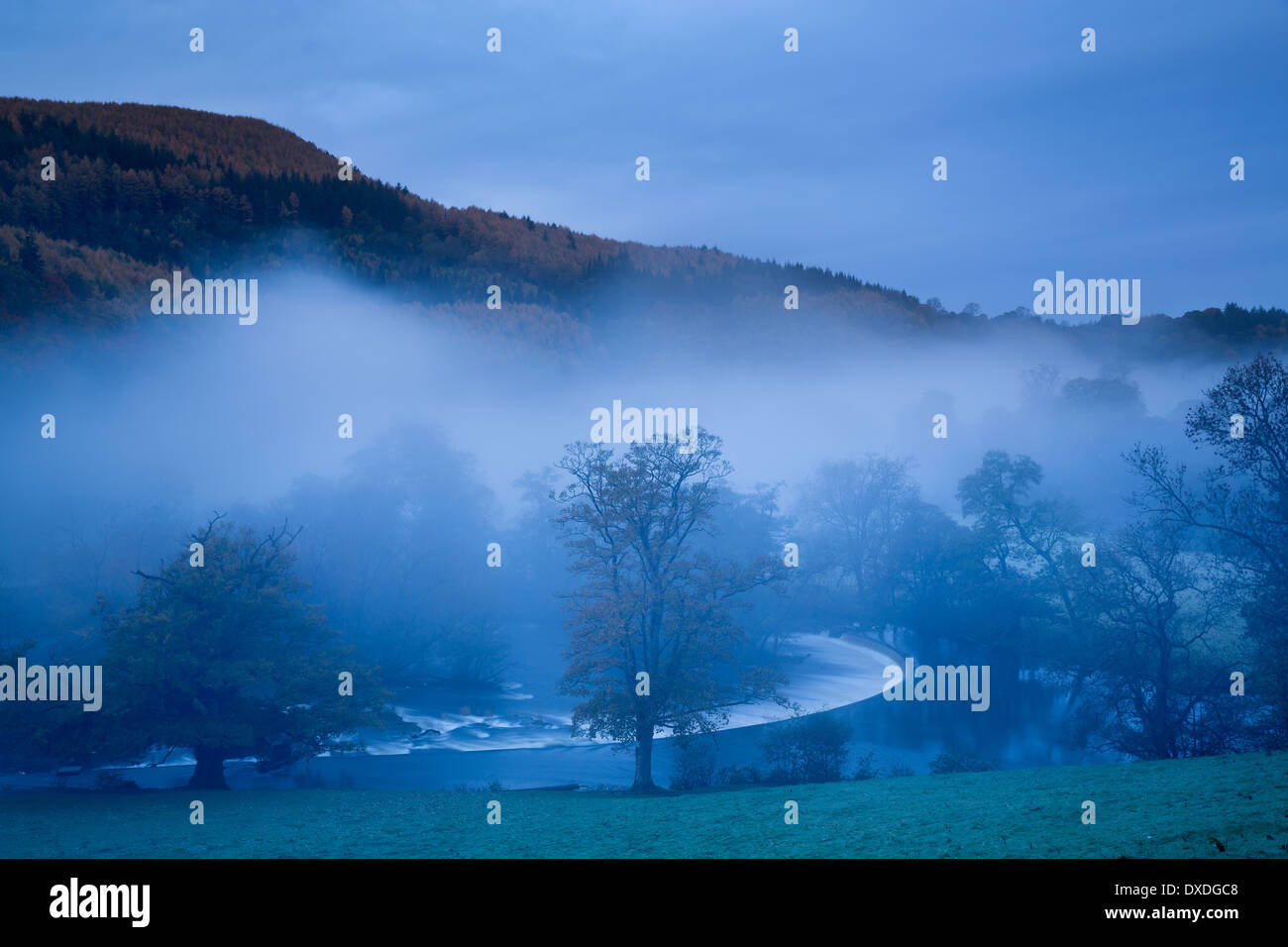 I colori autunnali e la nebbia nella Dee Valley (Dyffryn Dyfrdwy) a ferro di cavallo Cade vicino a Llangollen, Denbighshire, Galles Foto Stock