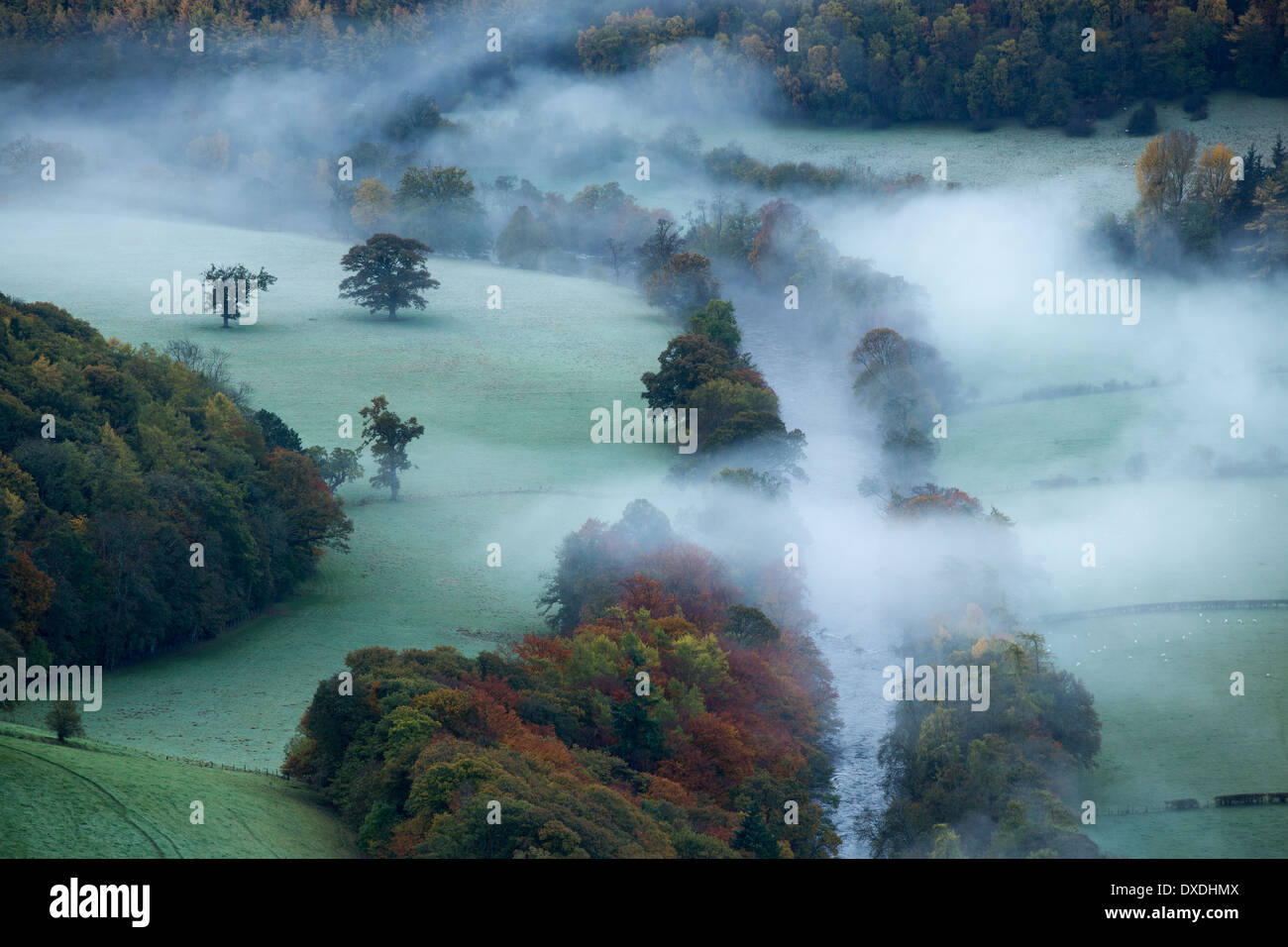 I colori autunnali e la nebbia nella Dee Valley (Dyffryn Dyfrdwy) nelle vicinanze del Llangollen, Denbighshire, Galles Foto Stock