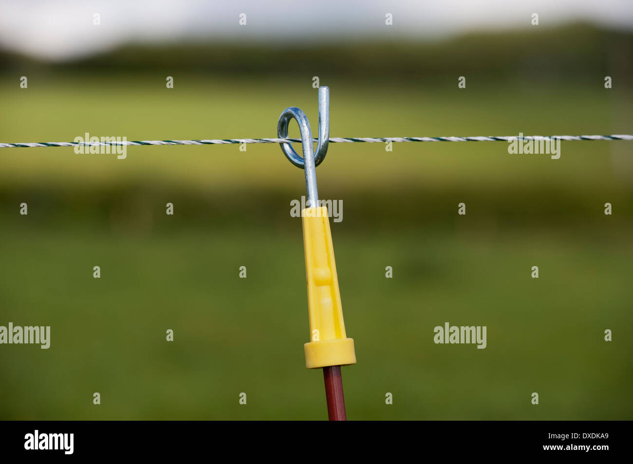 Recinto elettrico impostato lungo la fattoria via per tenere il bestiame bovino di caseificio a. La Scozia. Foto Stock