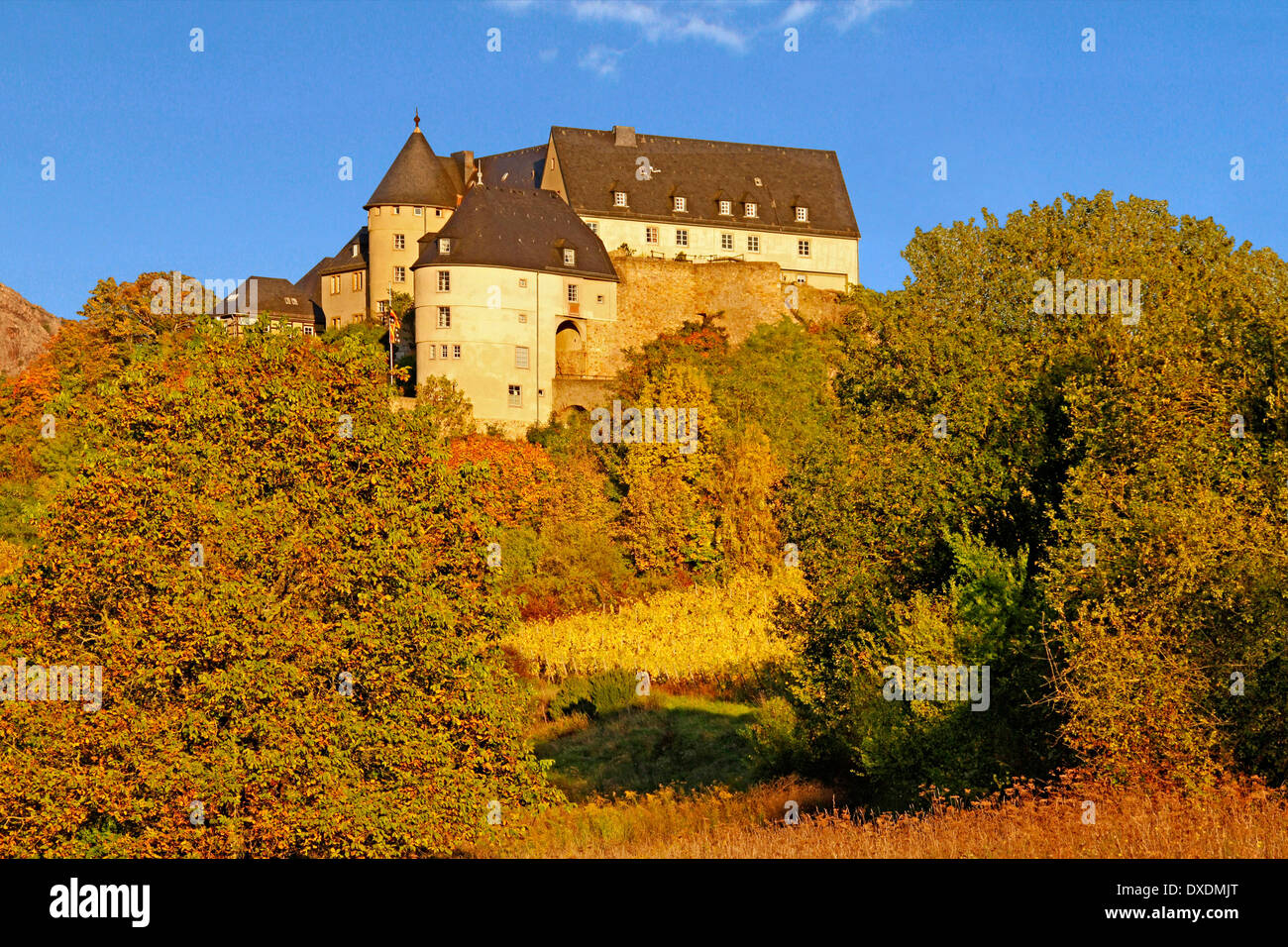 Castello Ebernburg, Bad Munster Foto Stock