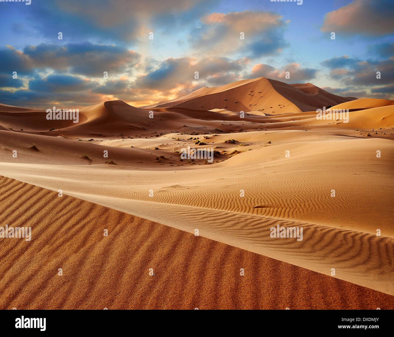 Sahara dune di sabbia di Erg Chebbi Marocco Foto Stock