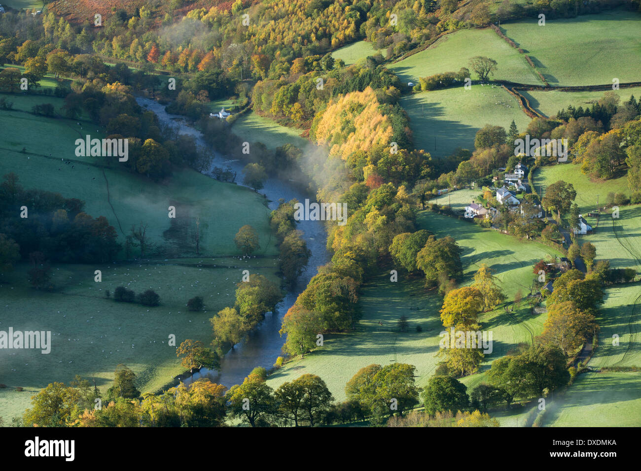 I colori autunnali e la nebbia nella Dee Valley (Dyffryn Dyfrdwy) nelle vicinanze del Llangollen, Denbighshire, Galles Foto Stock
