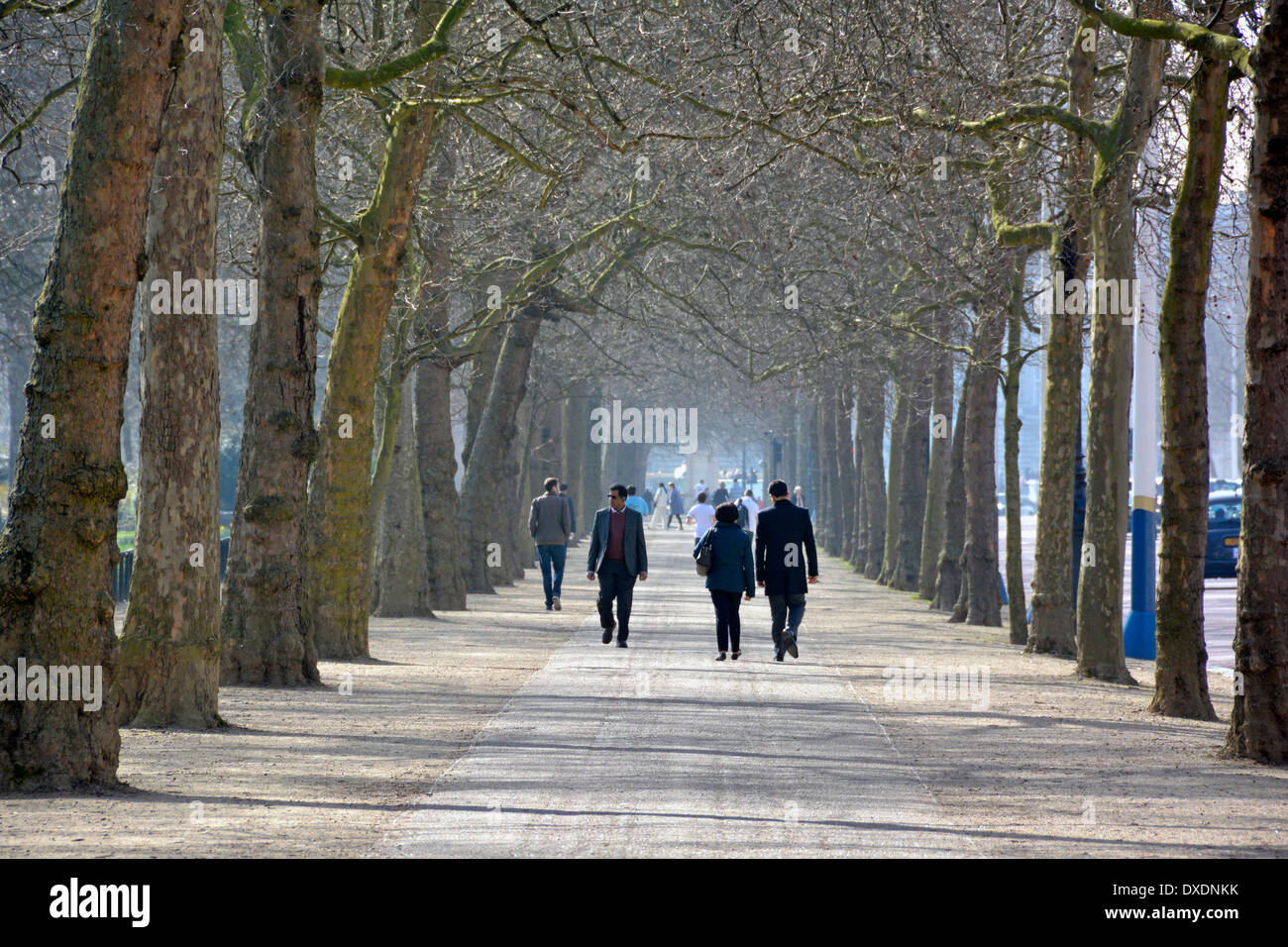 Inverno pieno di sole a piedi lungo viale alberato largo sentiero tra The Mall, e il St James Park Foto Stock