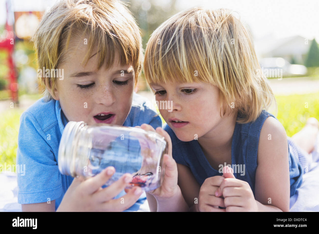 Per i ragazzi (4-5, 8-9) guardando butterfly nella giara di Jupiter, Florida, Stati Uniti d'America Foto Stock