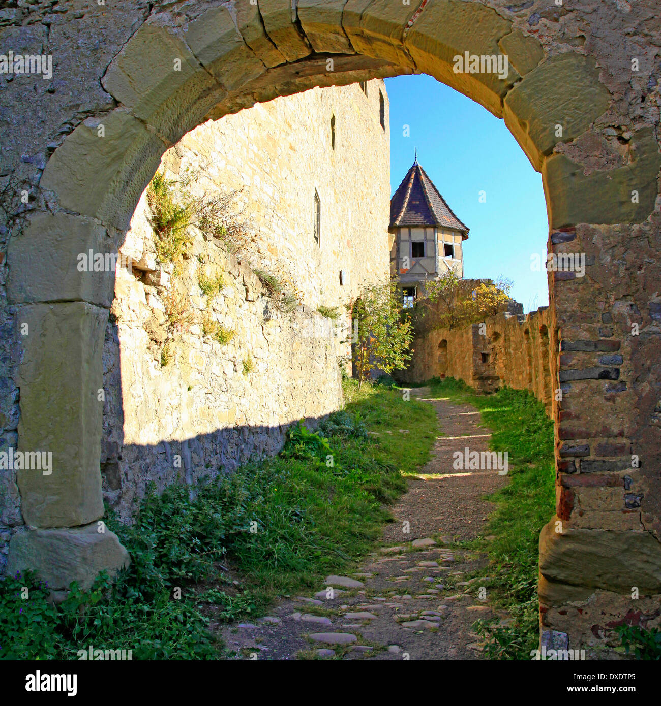 Castello Hornberg, Neckarzimmern Foto Stock