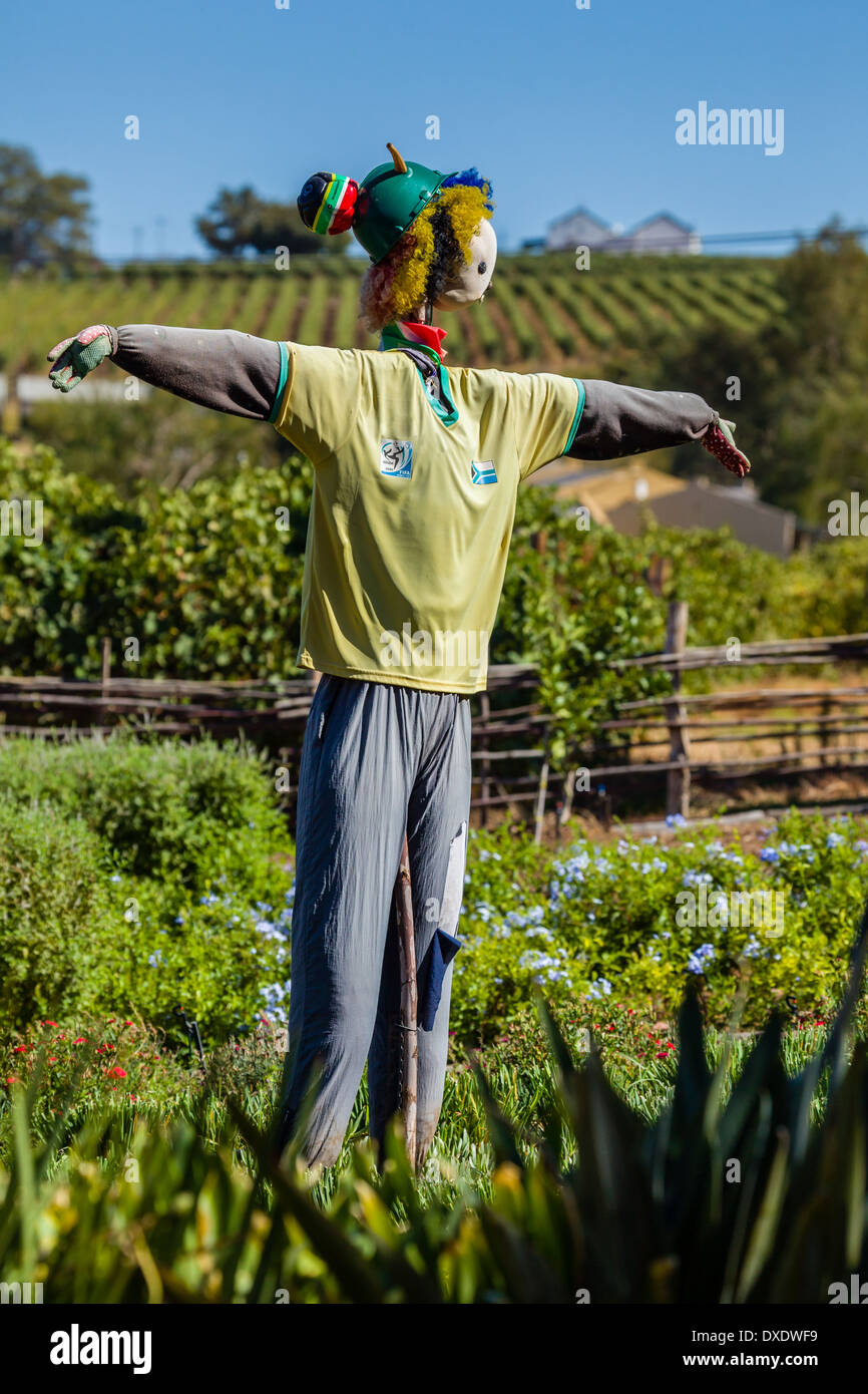 Lo Spaventapasseri in un giardino in Sud Africa. Foto Stock