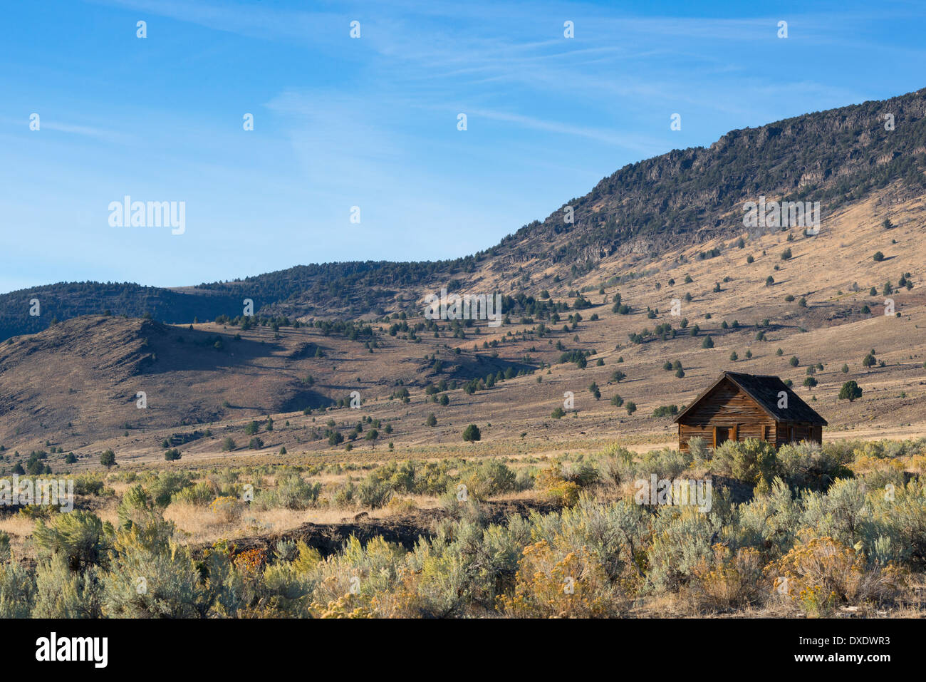 Capanna in legno su prairie, Steen di montagna, Oregon, Stati Uniti d'America Foto Stock