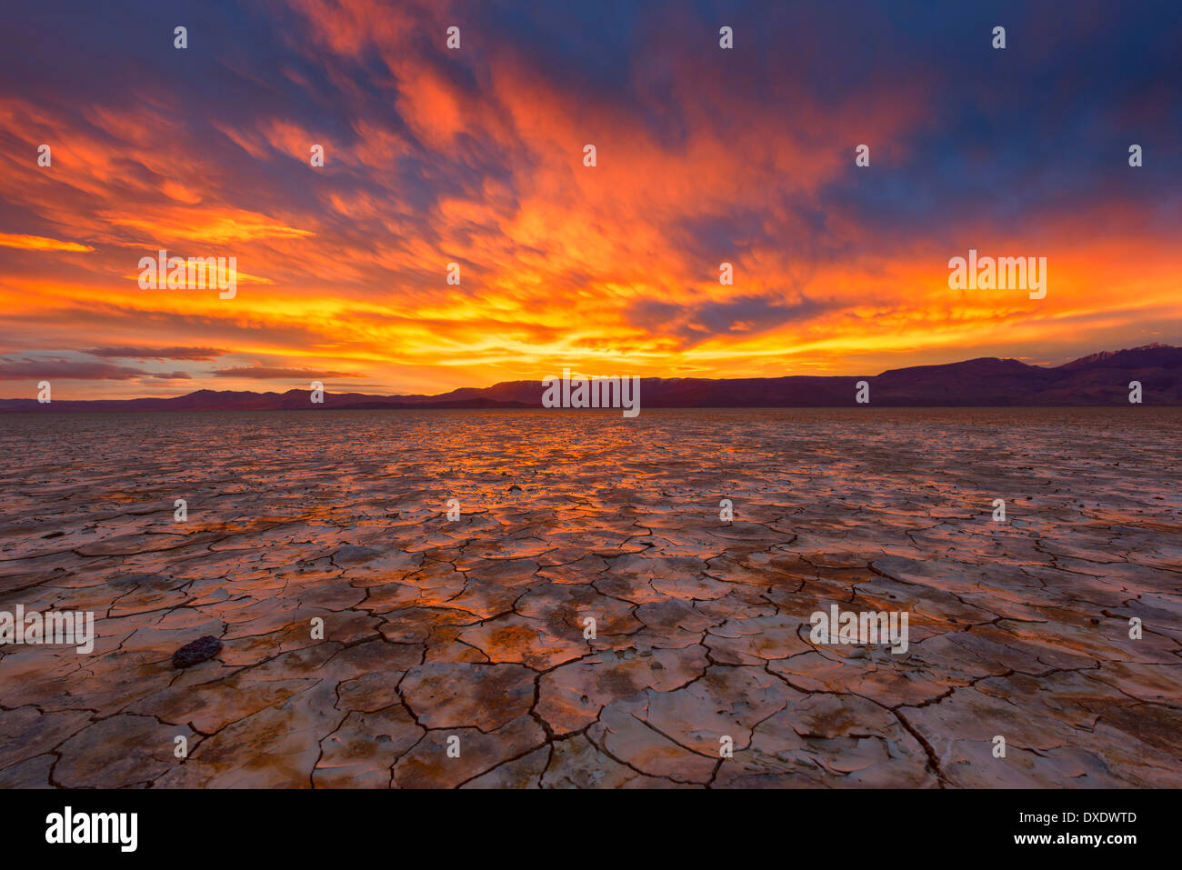 Drammatico tramonto sul deserto Alvord, Oregon, Stati Uniti d'America Foto Stock