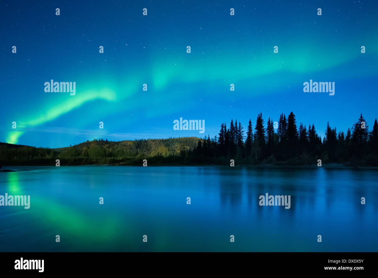 L'Aurora Boreale (Northern Lights) oltre il Fiume Klondike, Yukon Territori, Canada Foto Stock