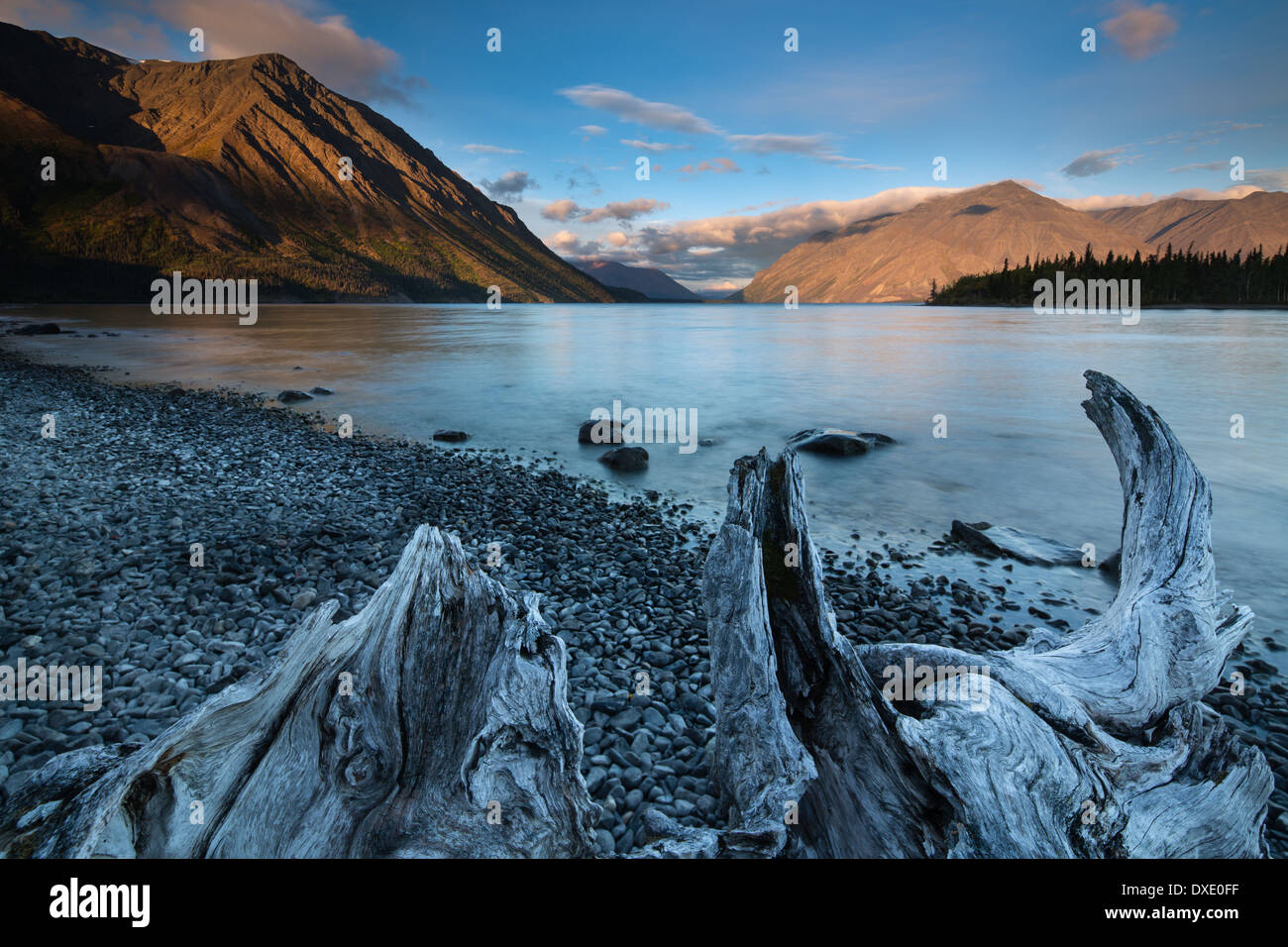 Kathleen Lake all'alba, Parco Nazionale Kluane, Yukon Territori, Canada Foto Stock