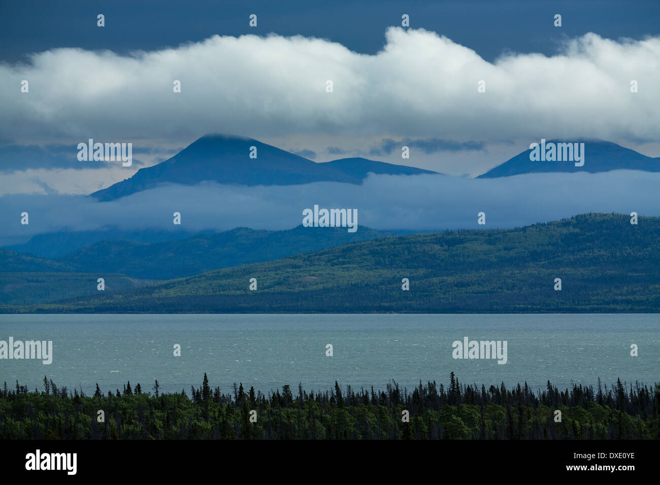 Dezadeash Lake, territori dello Yukon, Canada Foto Stock