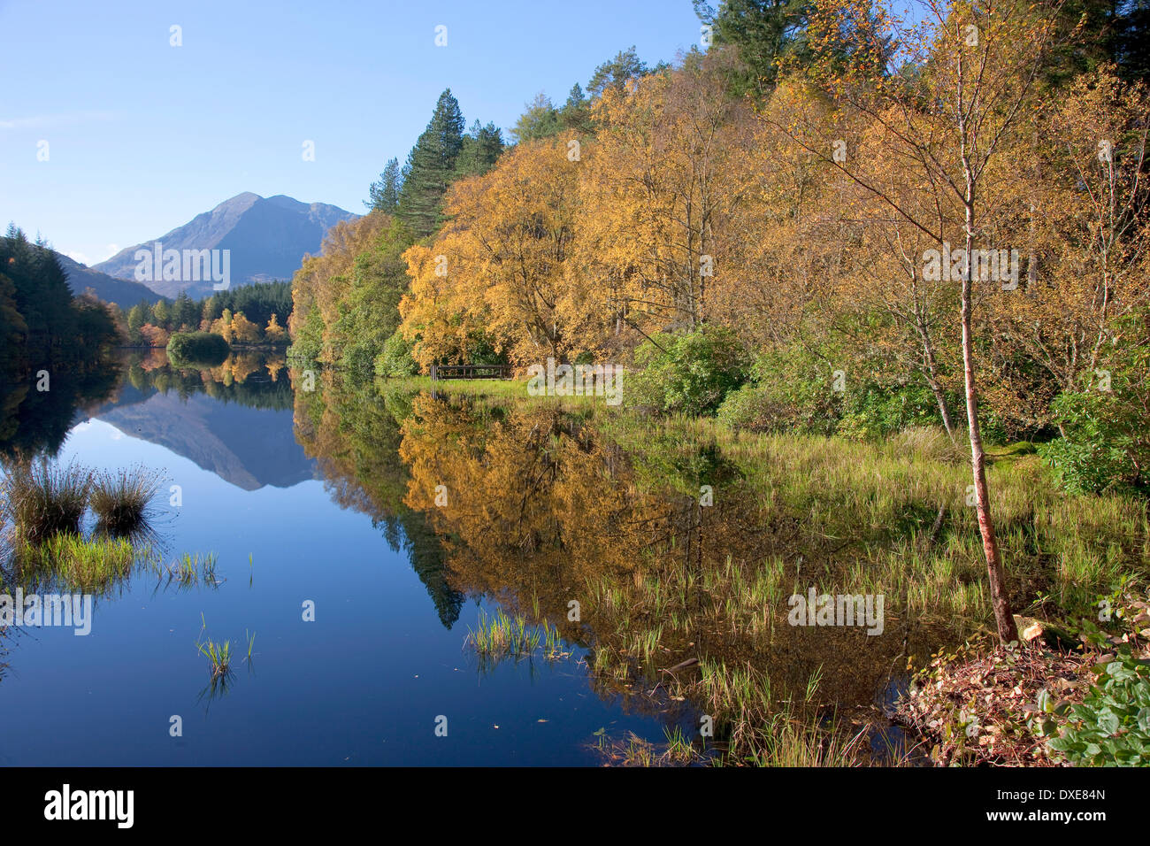 Ben varia come si vede dal Lochan Trail, Glencoe Foto Stock