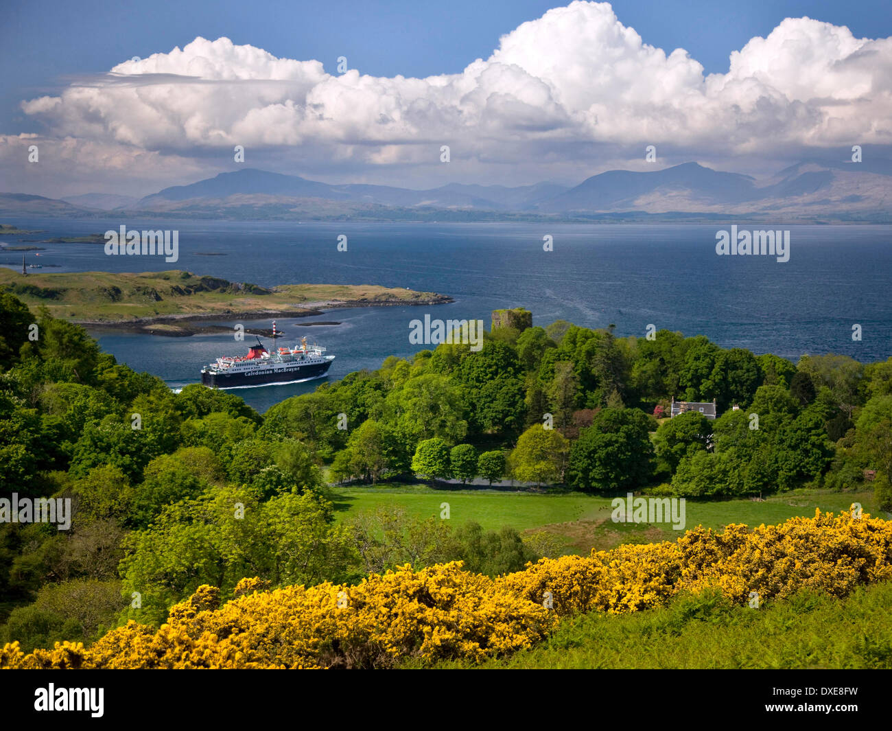 Dunollie castello , M.V.Isle of Mull, Argyll Foto Stock