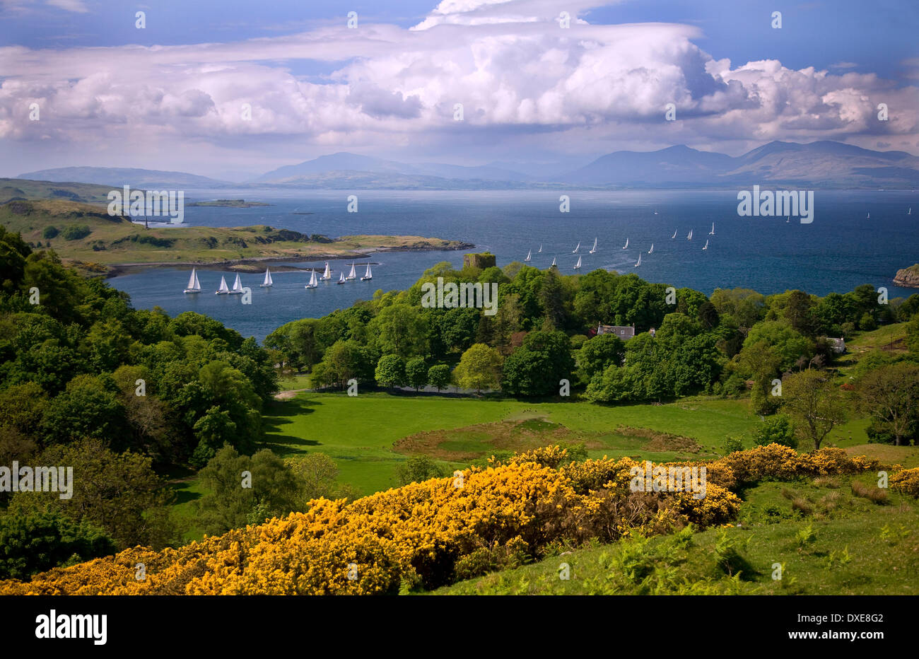 Vista a molla verso Dunollie Castle & distante Mull, Argyll. Foto Stock
