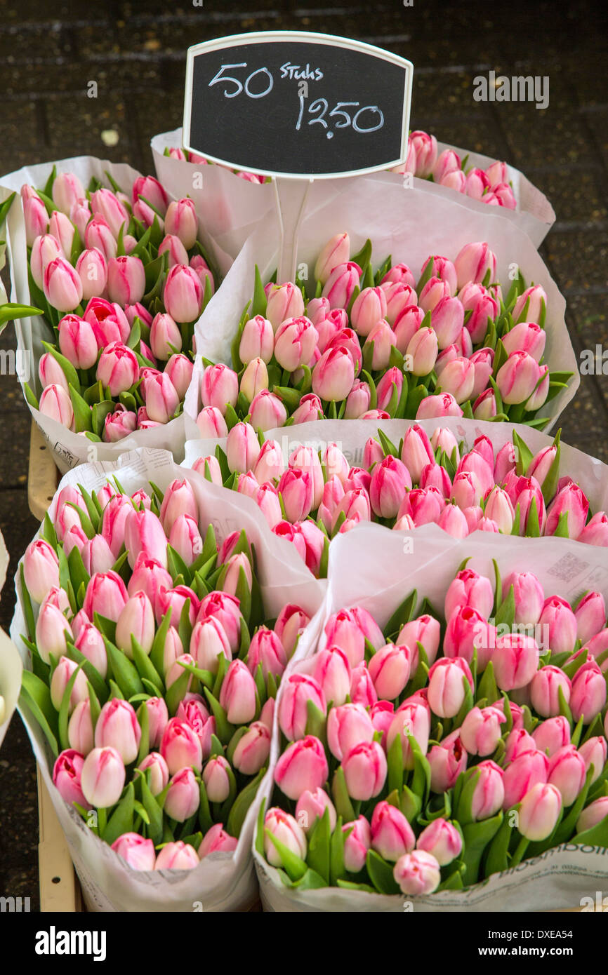 Fiorisce nel mercato dei fiori di Amsterdam Foto Stock