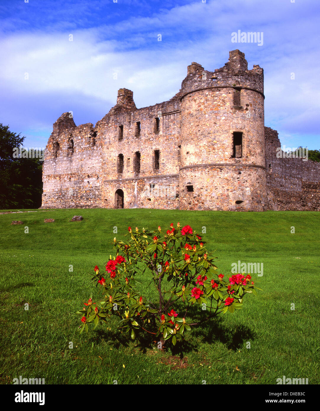 Balvenie castle, 13 secolo le rovine del castello di nr Dufftown, murene. Foto Stock