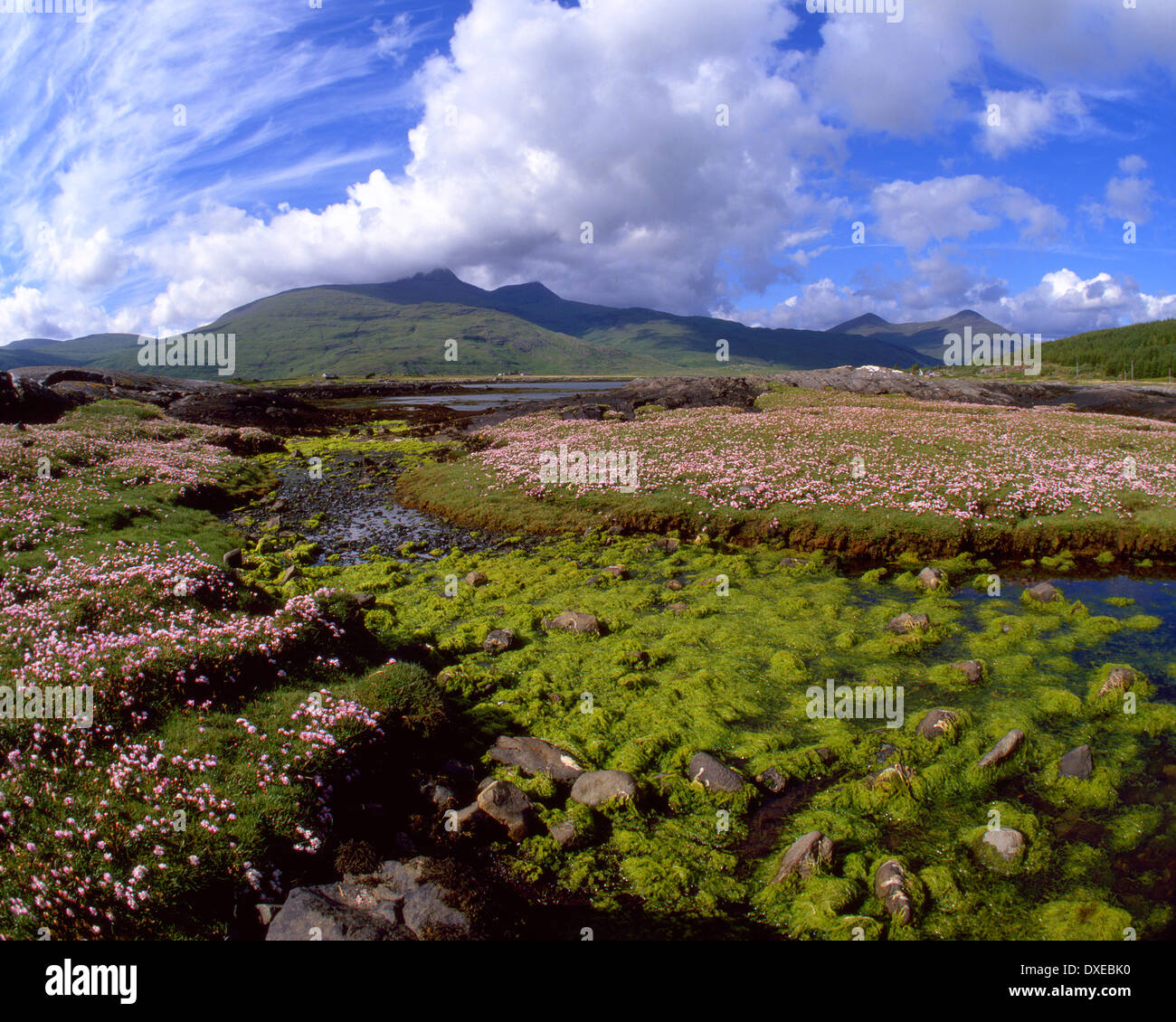 Sul Loch Scridain verso ben più sull'Isola di Mull Scozia Scotland Foto Stock