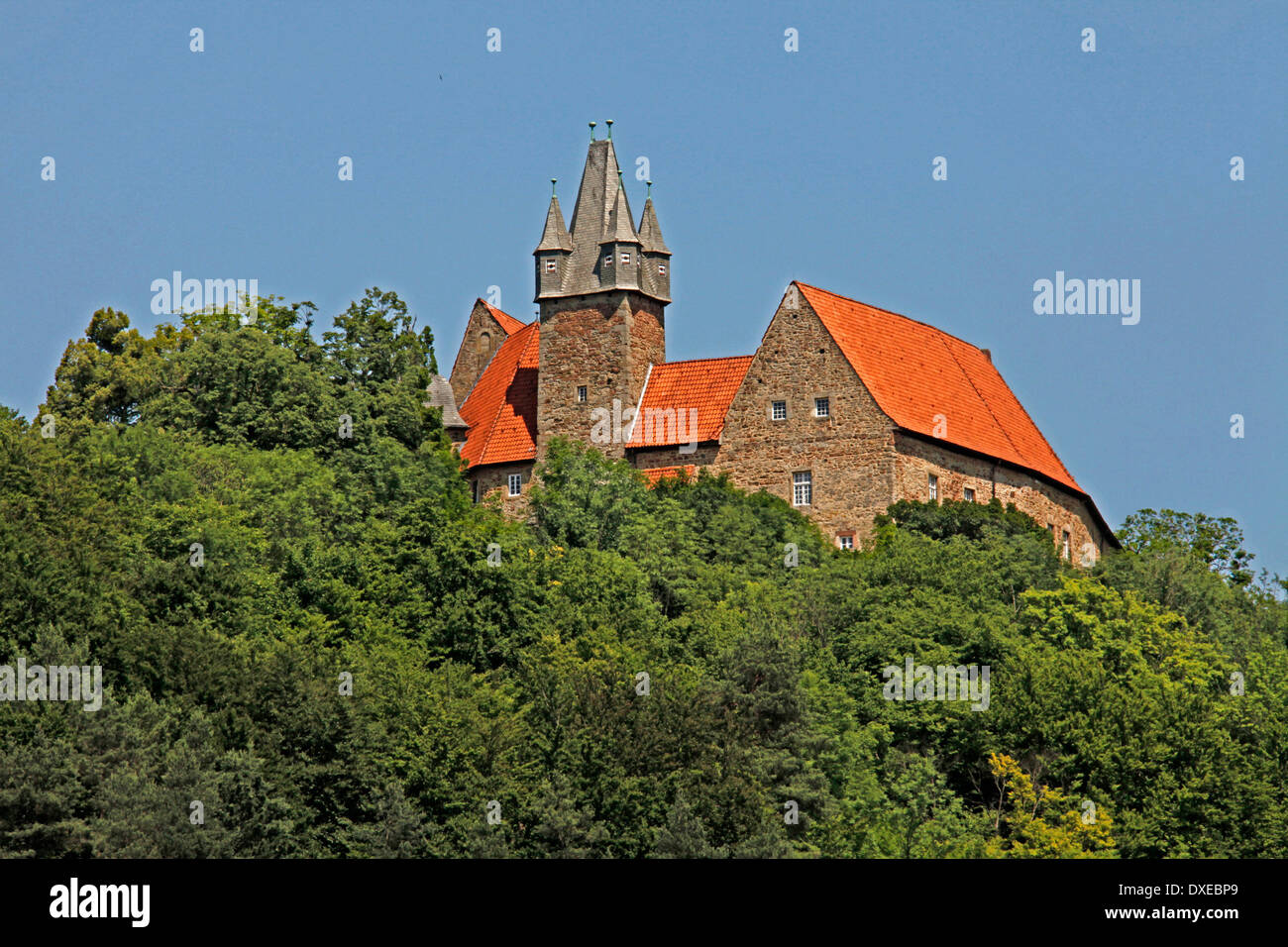 Spangenberg castello, costruito 1253, Spangenberg, distretto Schwalm-Eder, Hesse, Germania Foto Stock