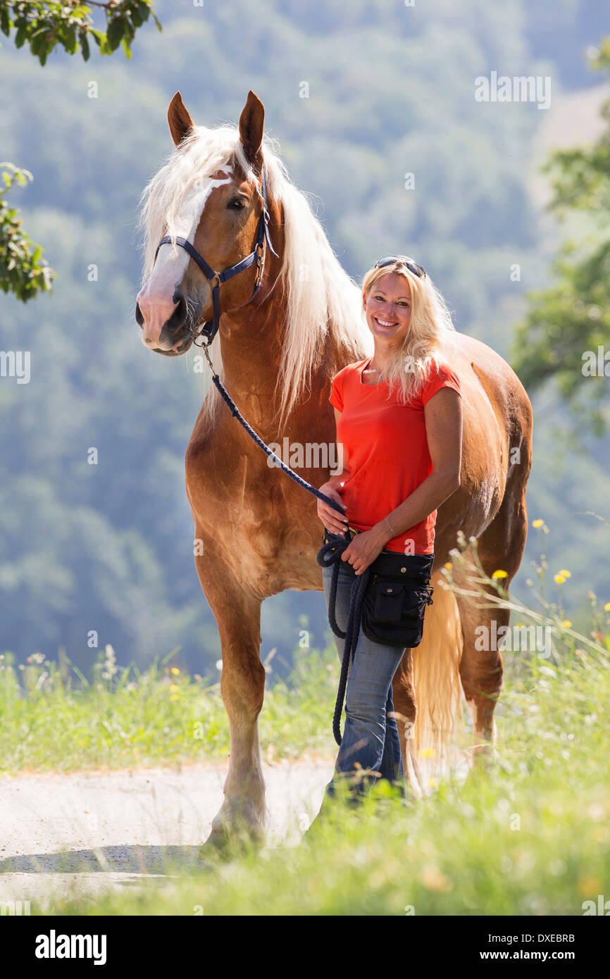 Cavallo norico. Donna sorridente in piedi accanto ai castagni castrazione. Austria Foto Stock