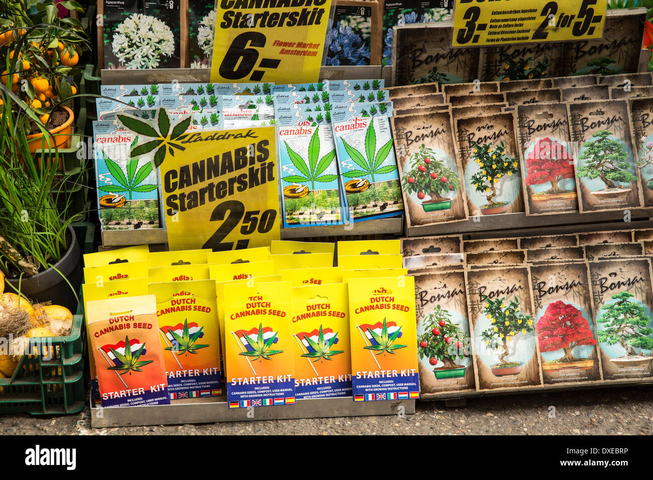 Pacchetti di semi in un mercato dei fiori di Amsterdam Foto Stock